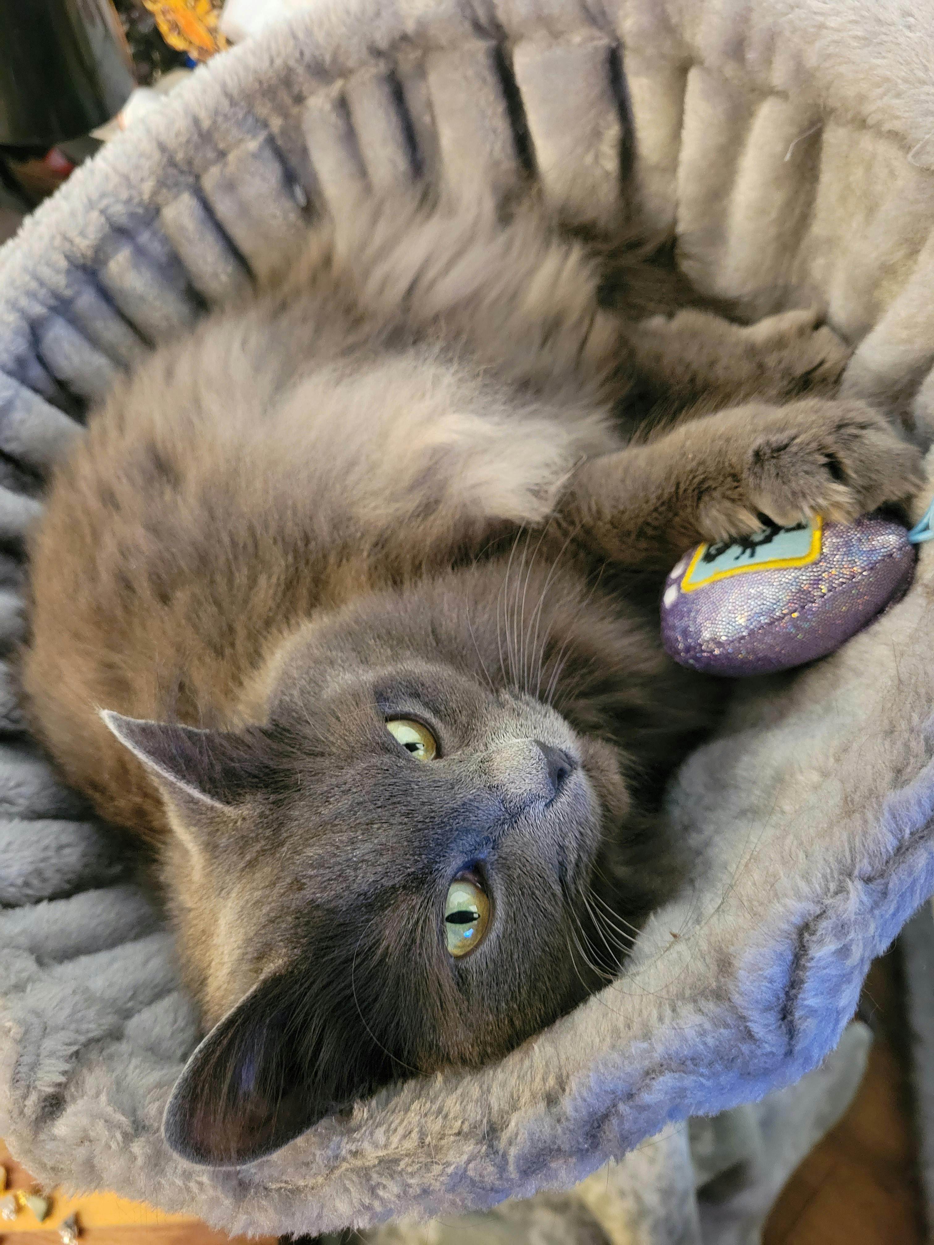 user avatar image for Kairilyn