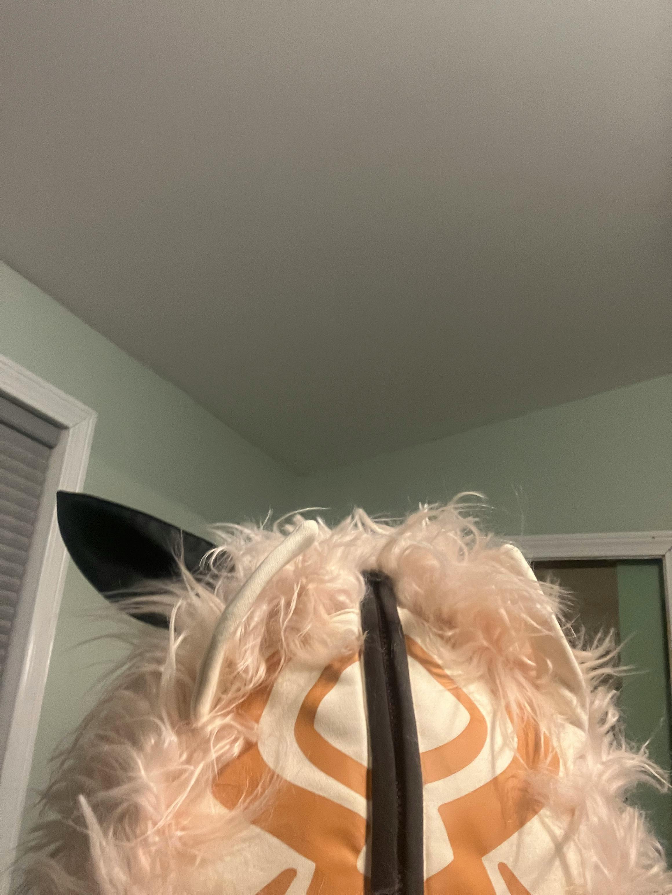 user avatar image for Asher Michael 