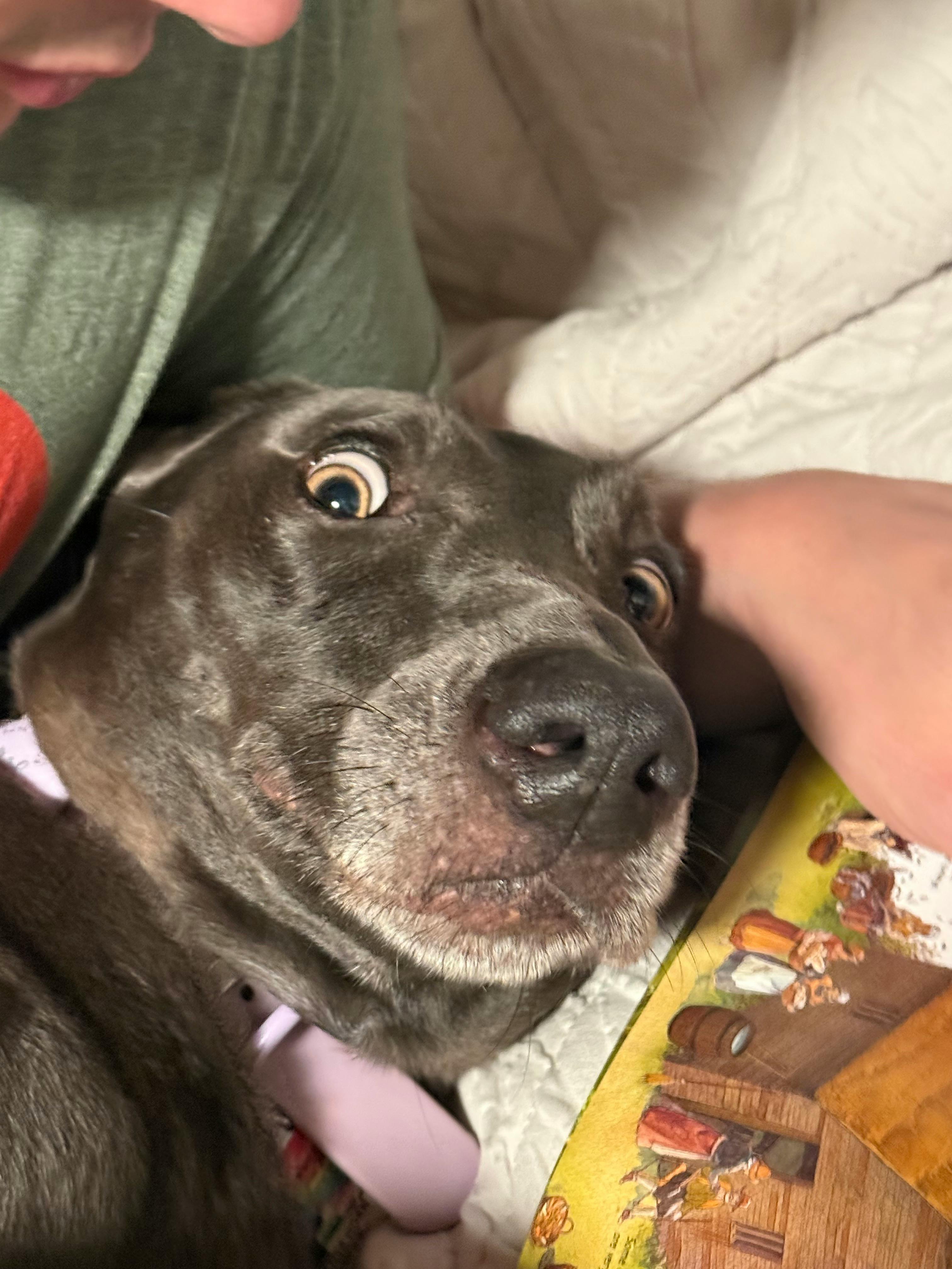 user avatar image for Sansaryo