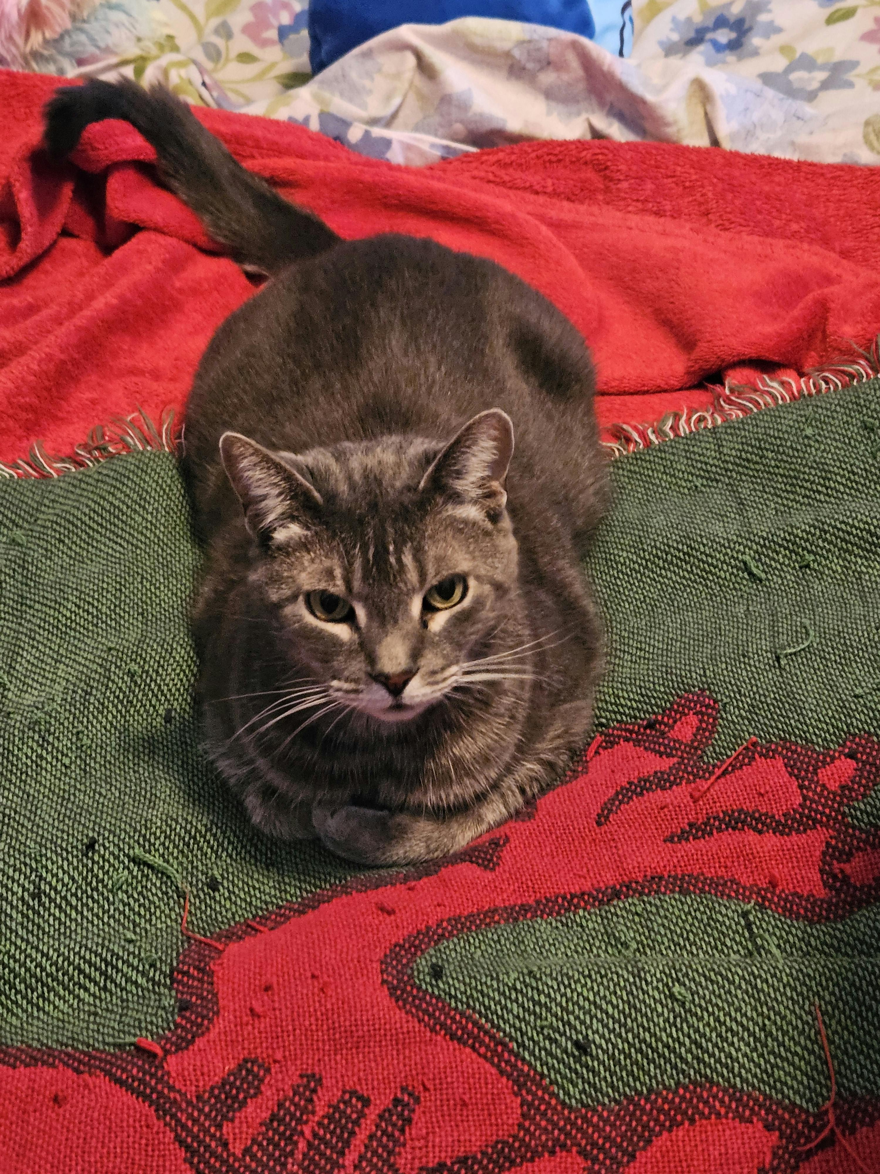 user avatar image for Antonina 