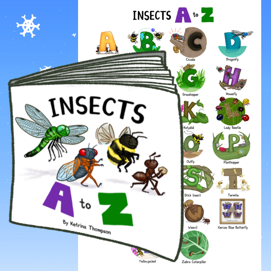 Book + alphabet poster bundle!