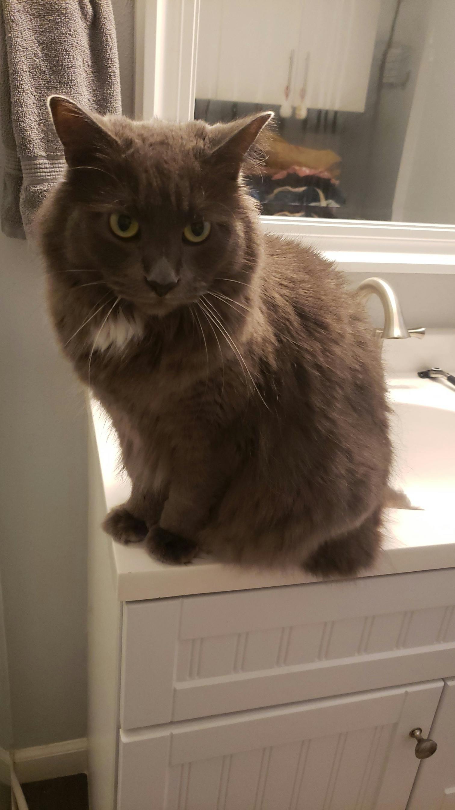 user avatar image for Alyssa Petermeyer