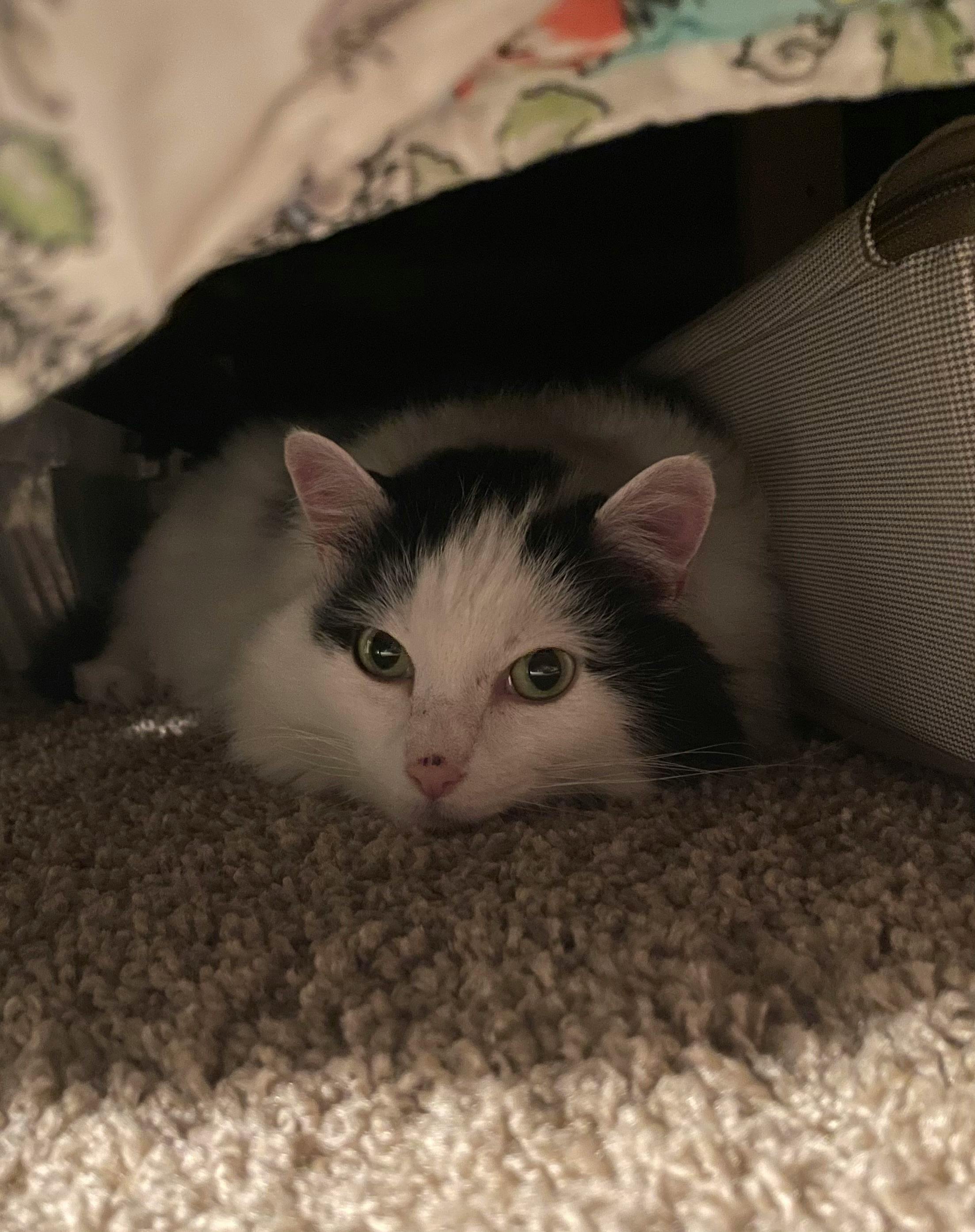 user avatar image for Sarah B