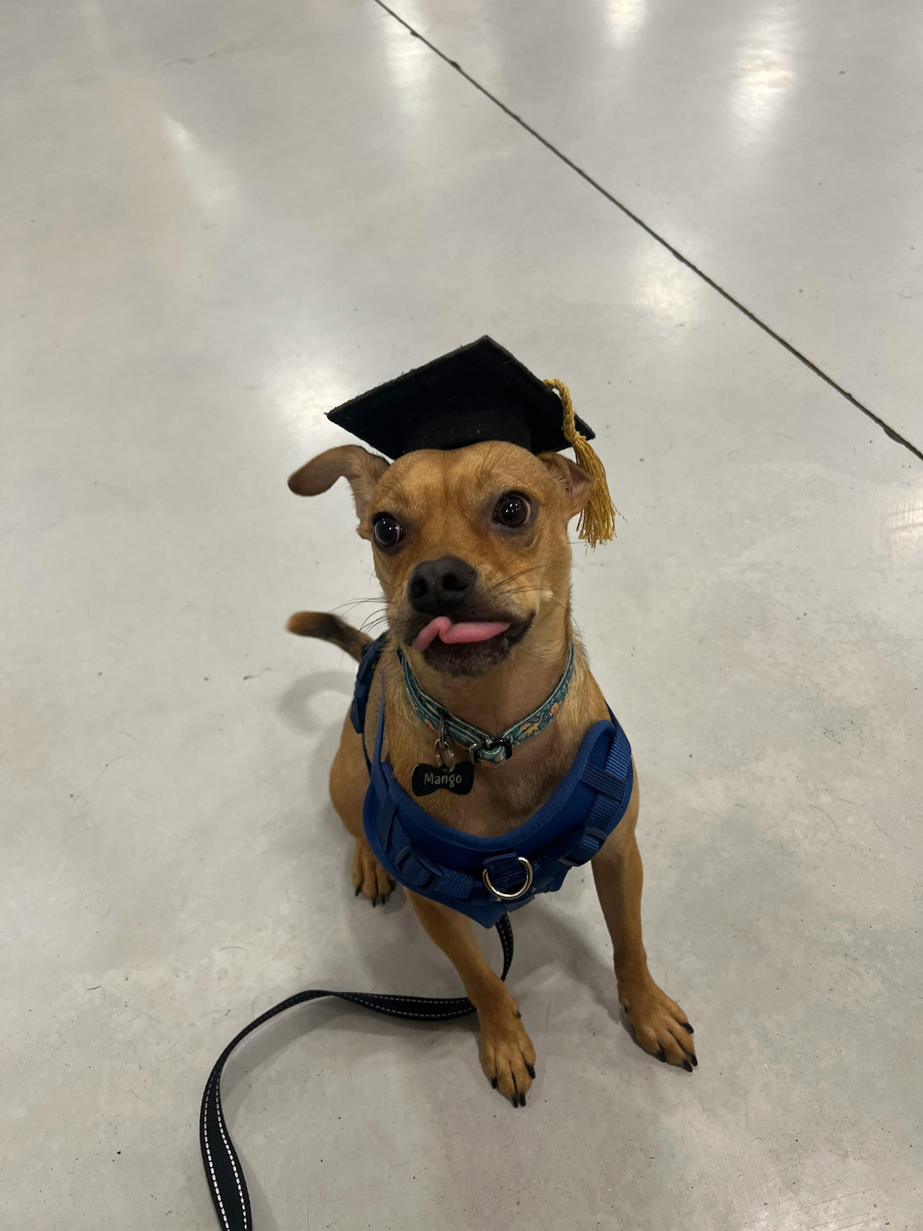 user avatar image for Ashlyn