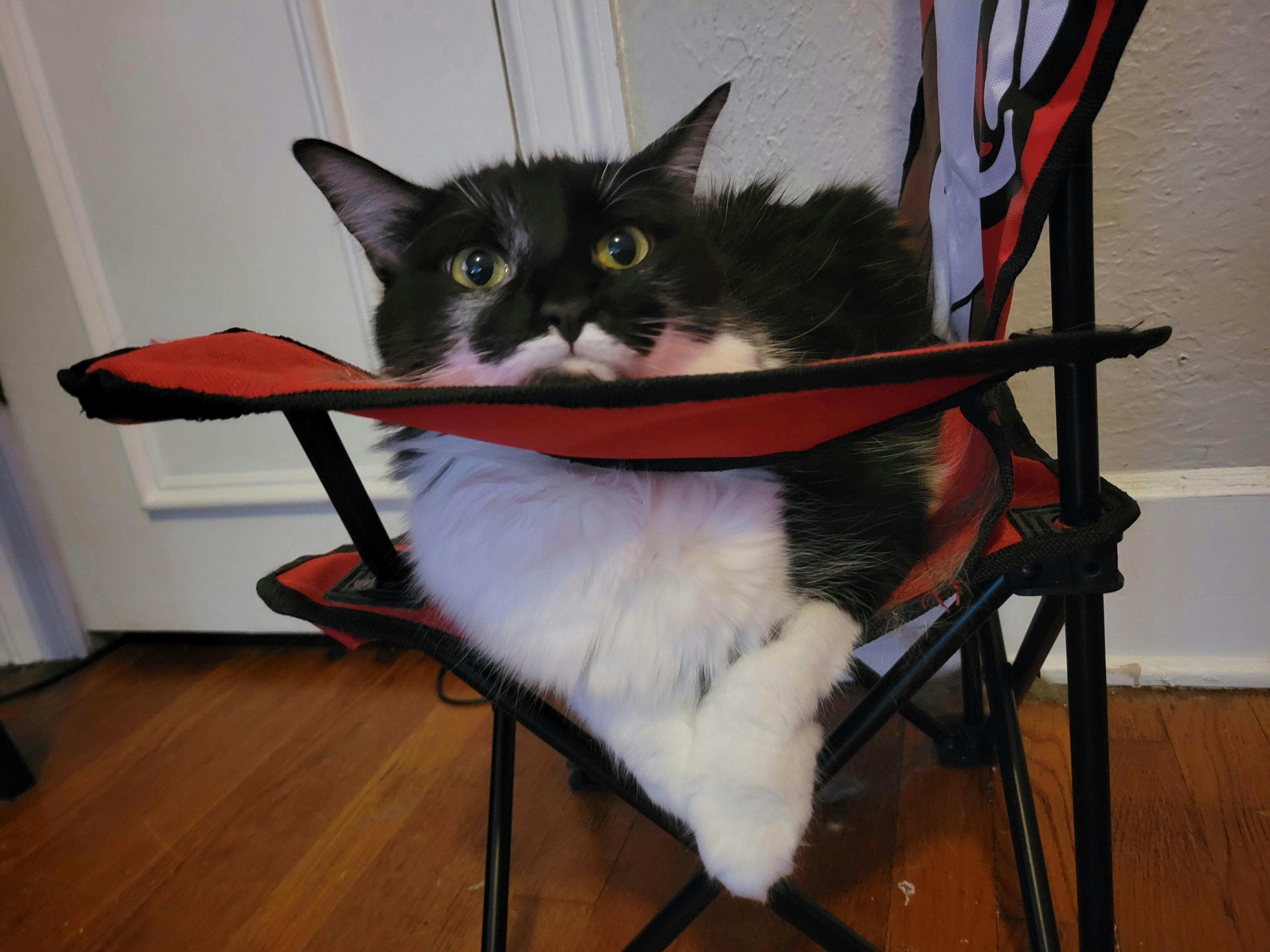 user avatar image for TwoThousandCat