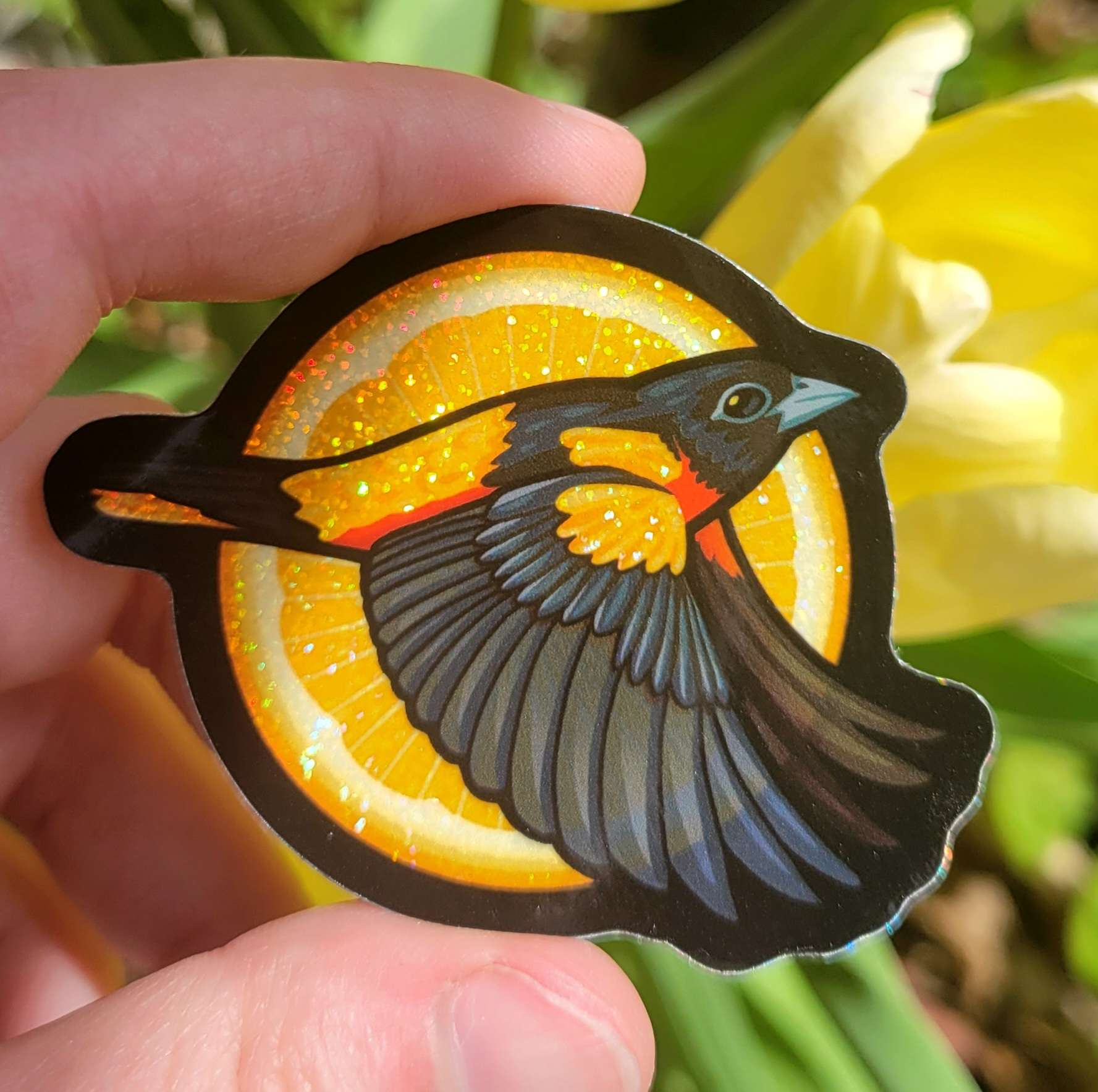 Baltimore Oriole Sticker