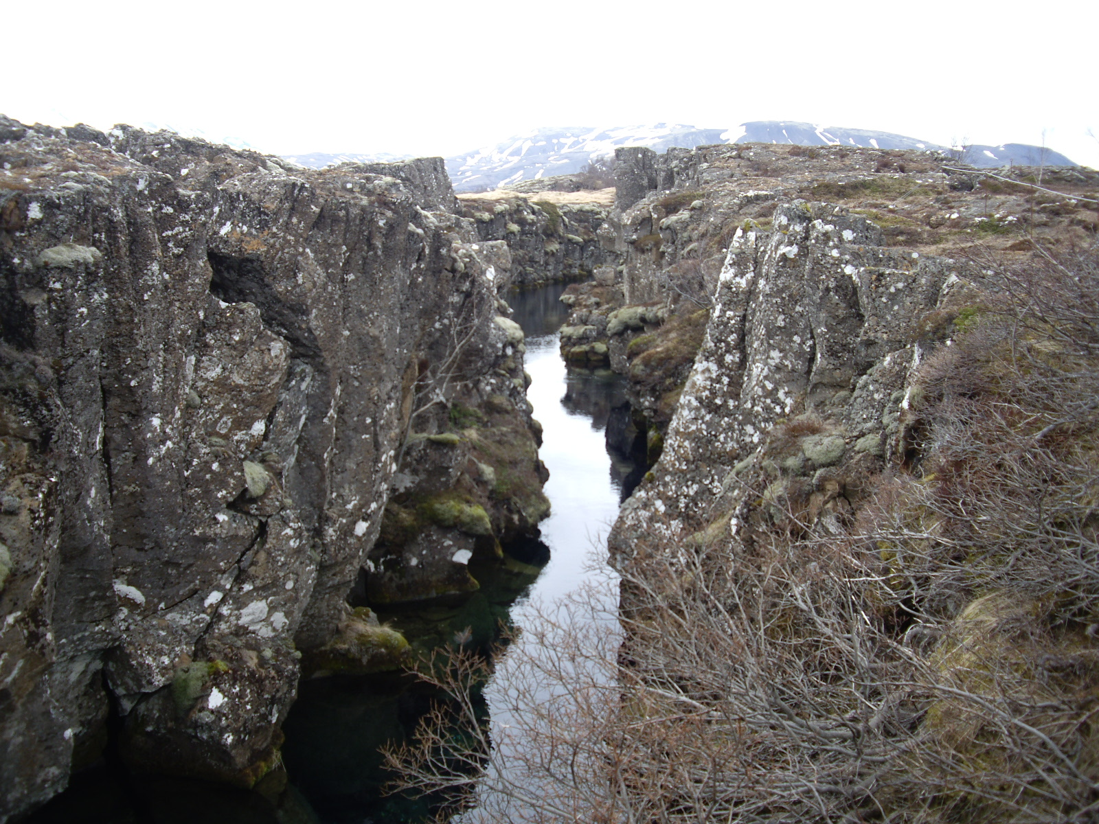 user avatar image for Dawn Sellick 