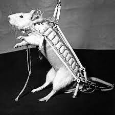 user avatar image for ClockworkEnigma