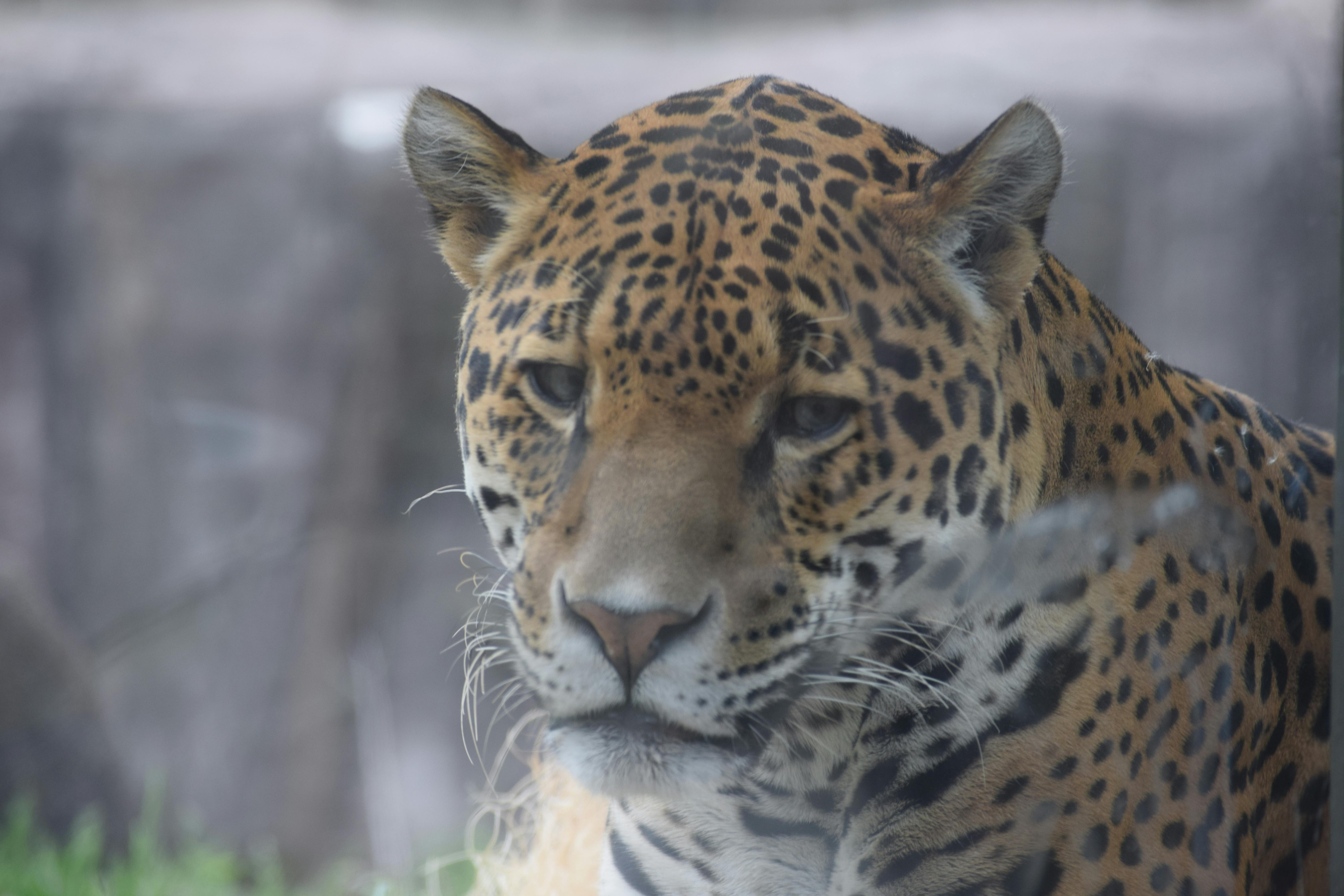 user avatar image for Lo9man