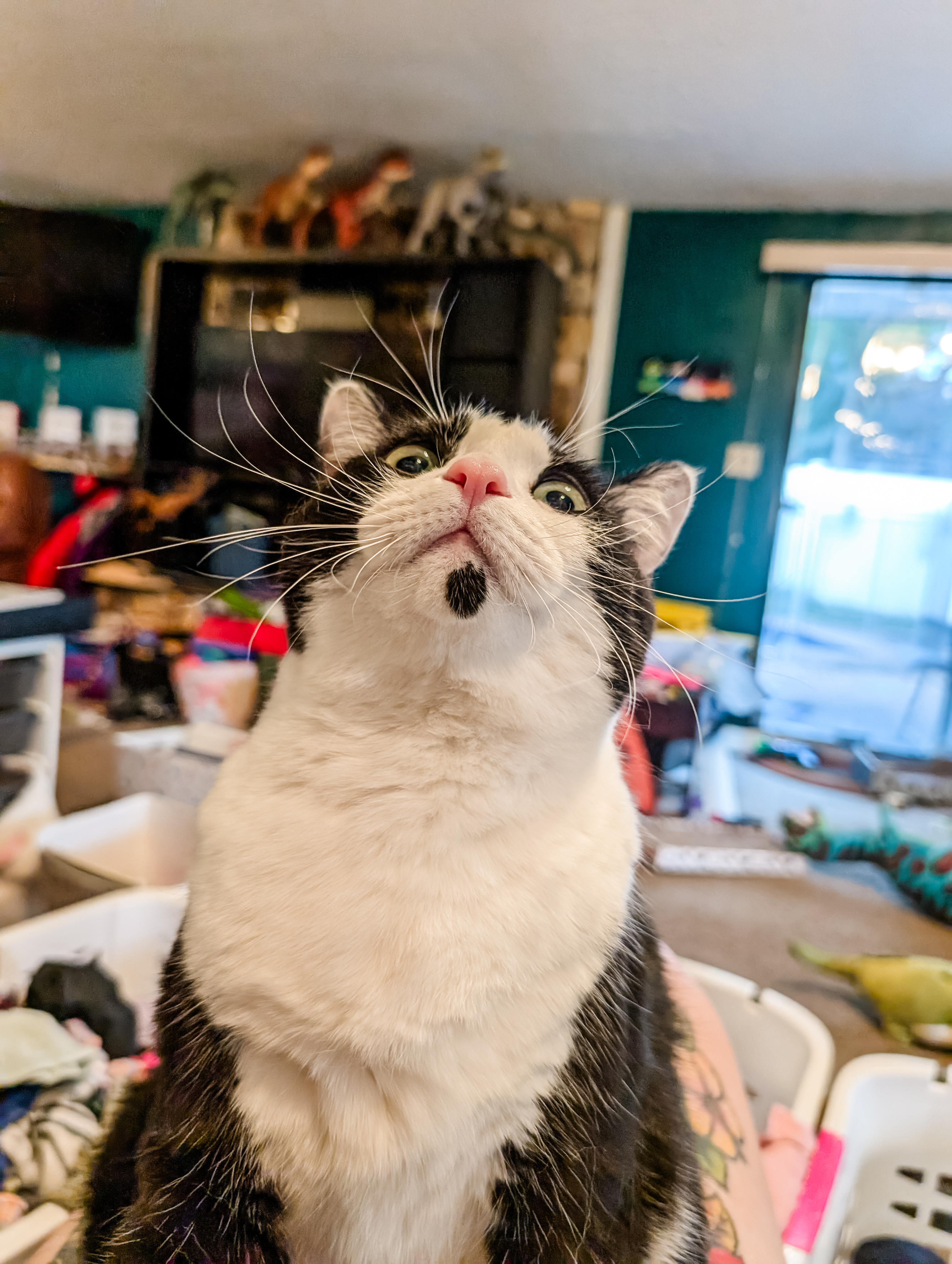 user avatar image for Kaitlyn 