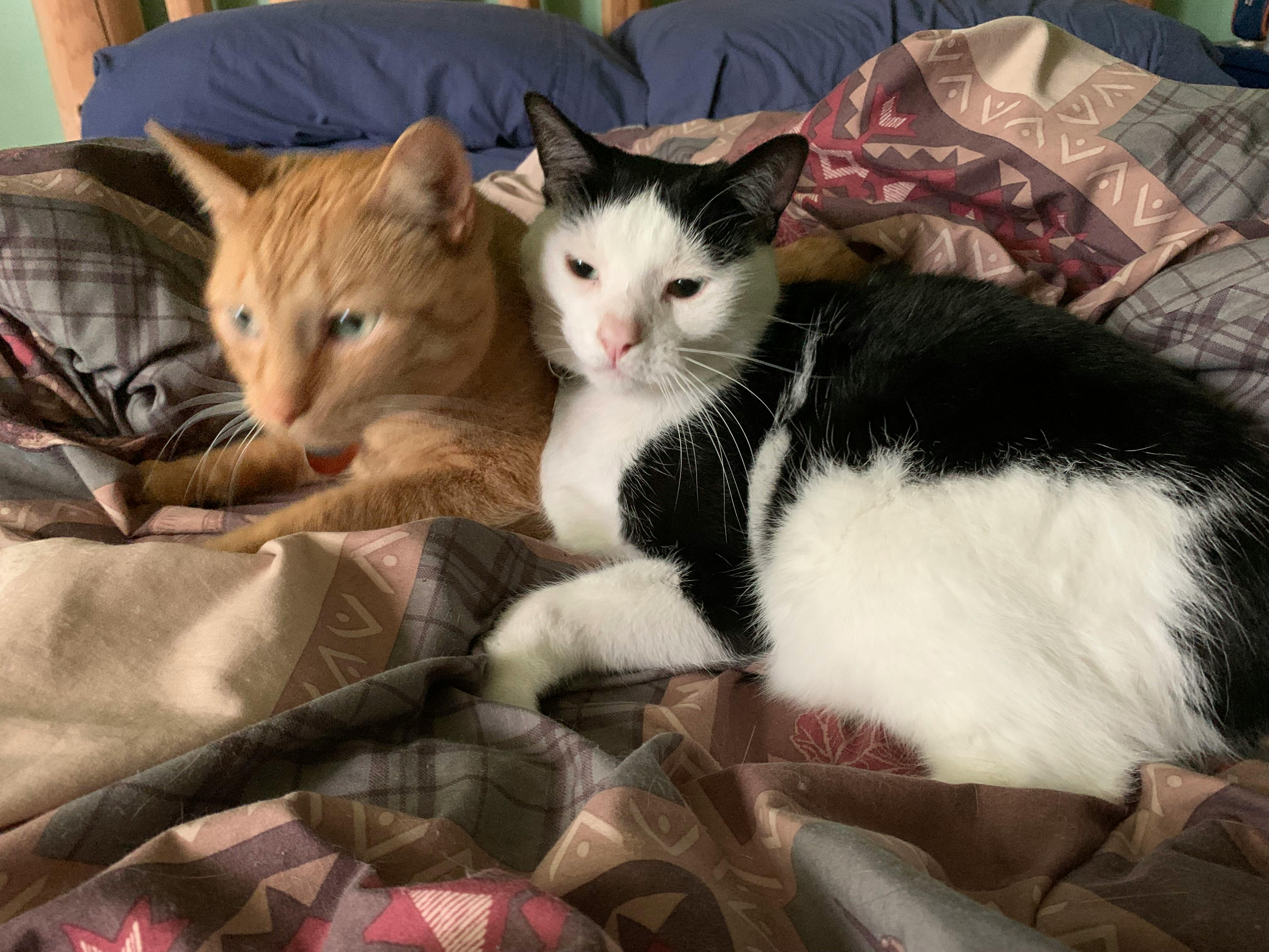 user avatar image for Kay