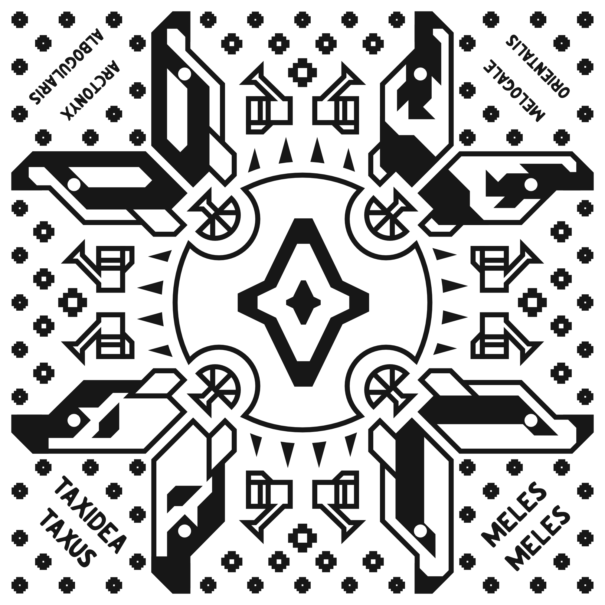 Badgers bandana