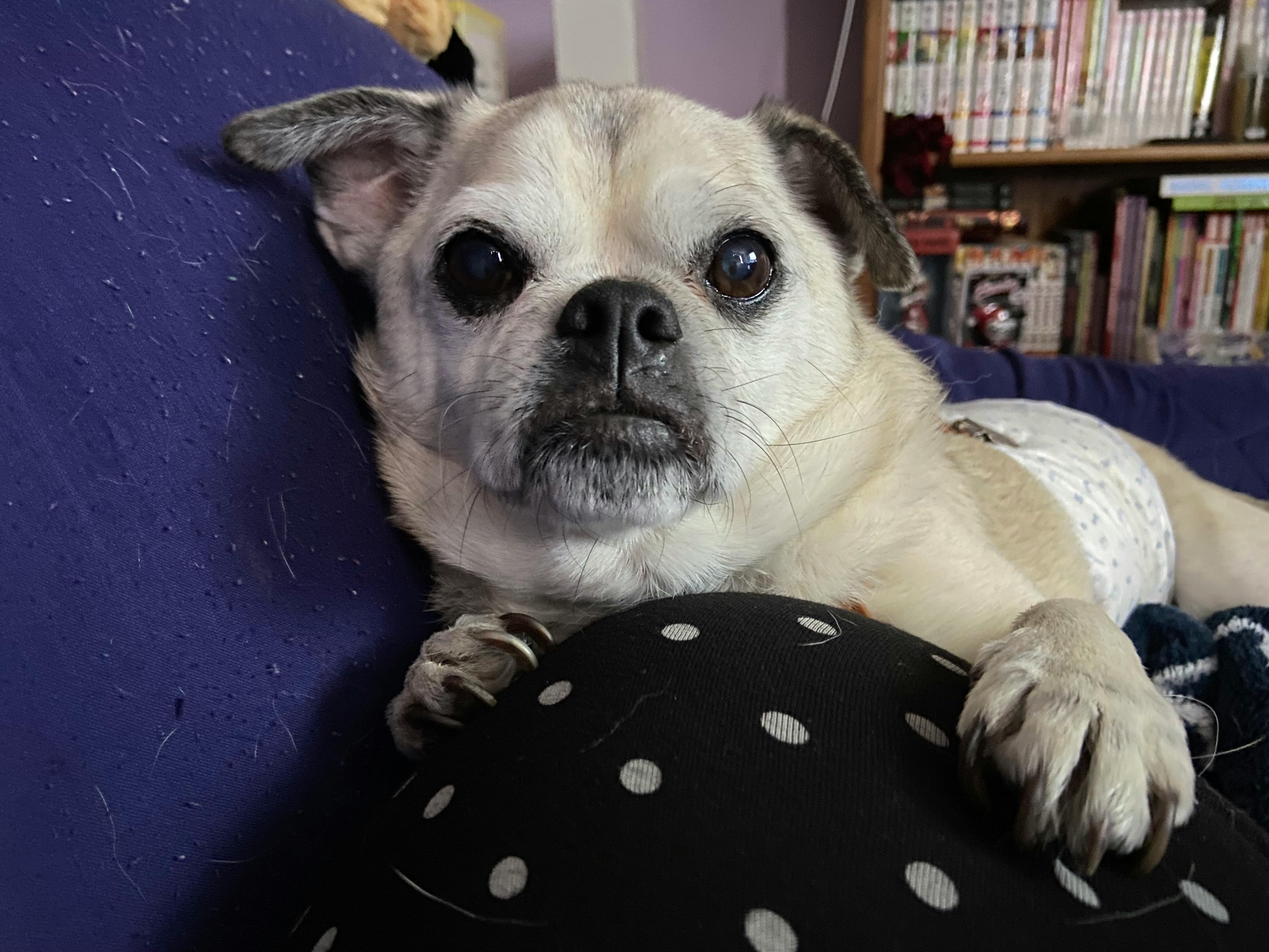 user avatar image for Breanna