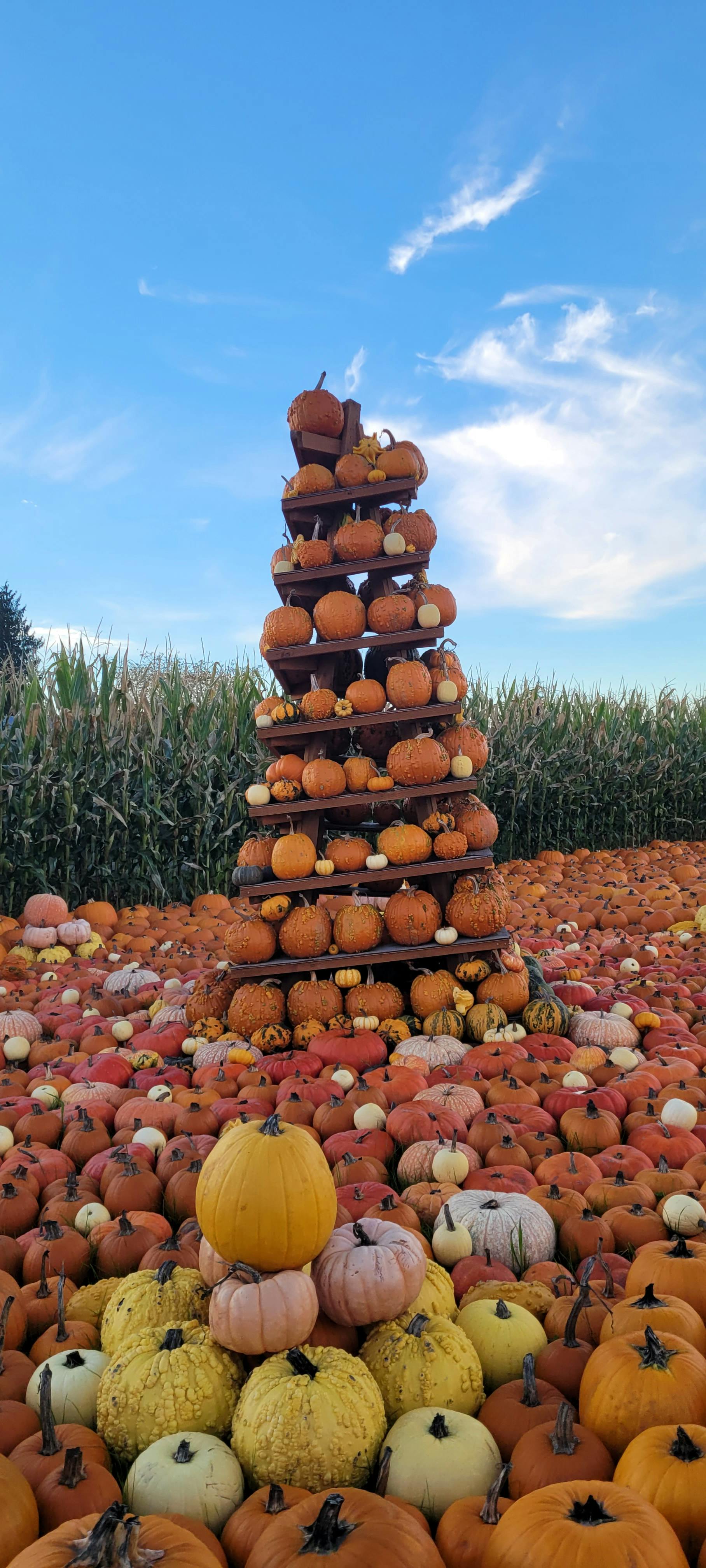 user avatar image for Kim Stevens