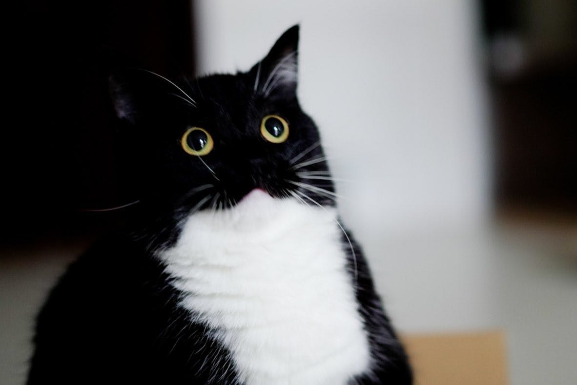 user avatar image for Michelle Thom