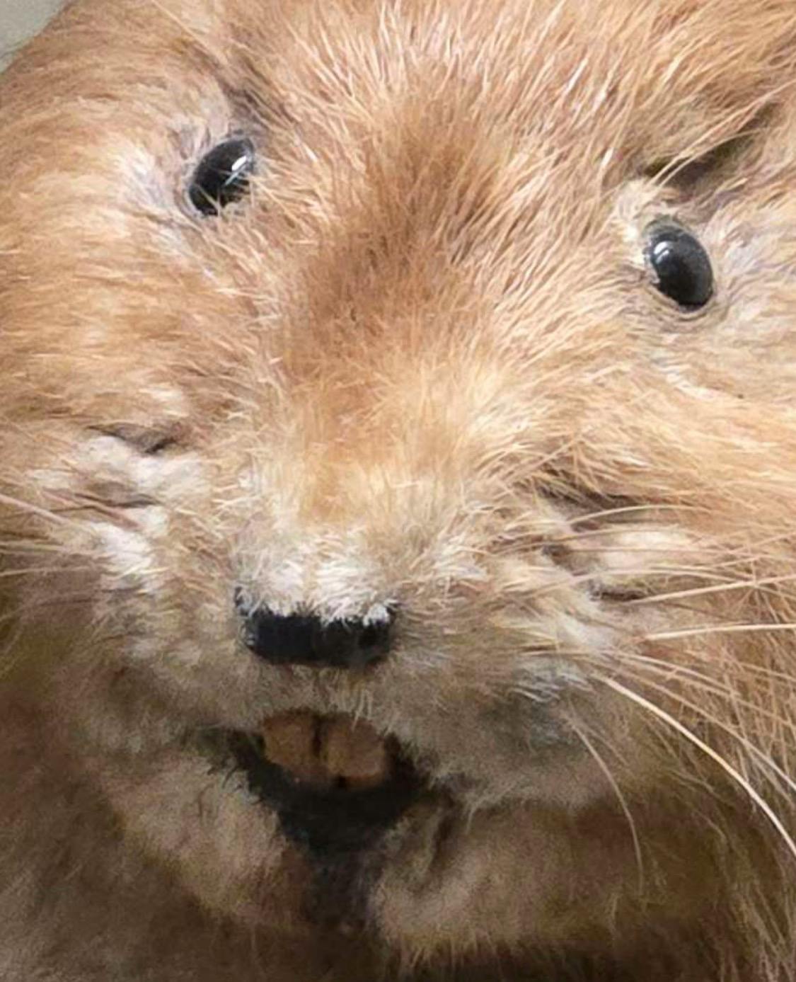 user avatar image for Matthew Wilk