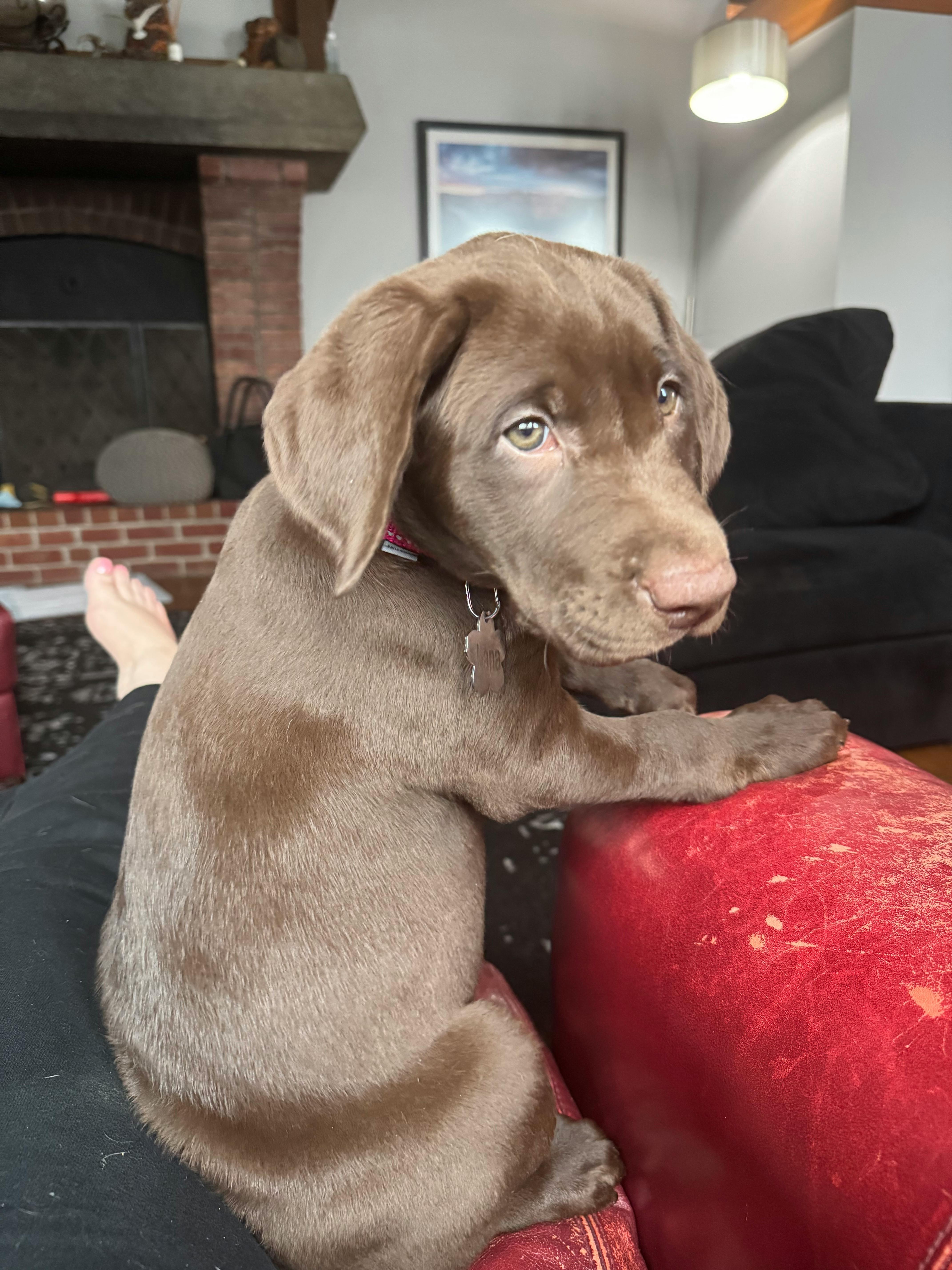 user avatar image for Tara Bayes