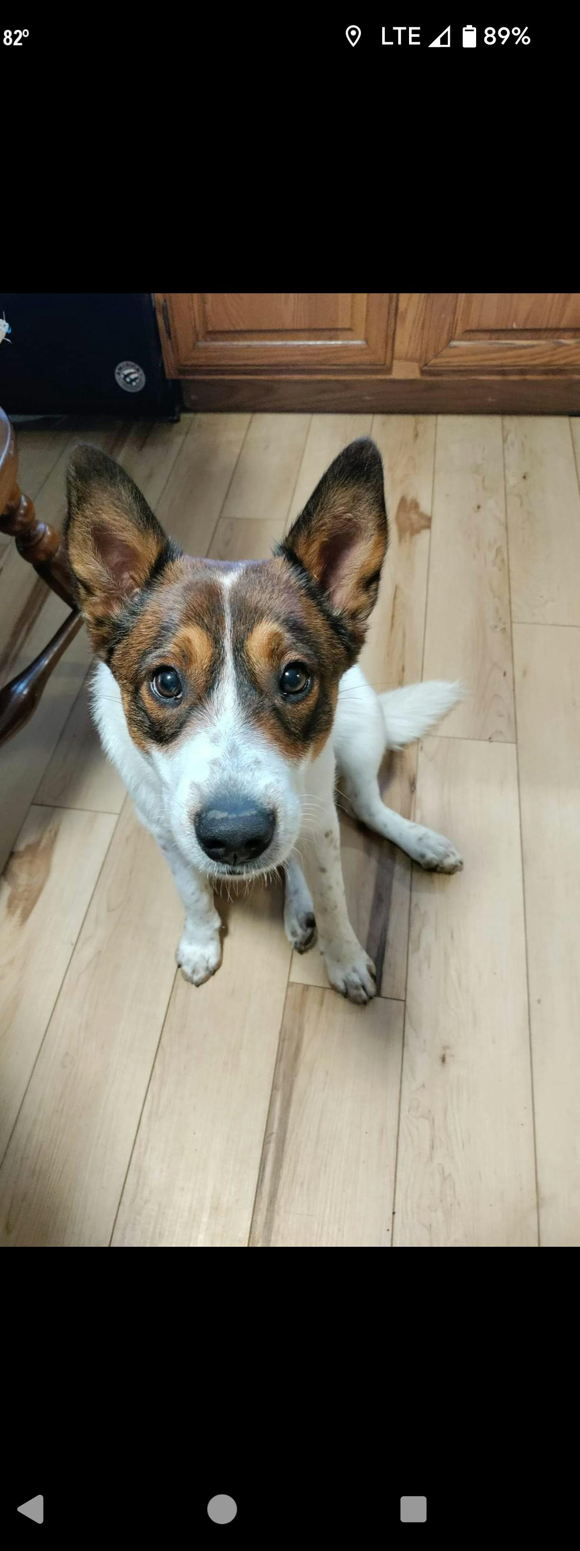 user avatar image for Alexander R L