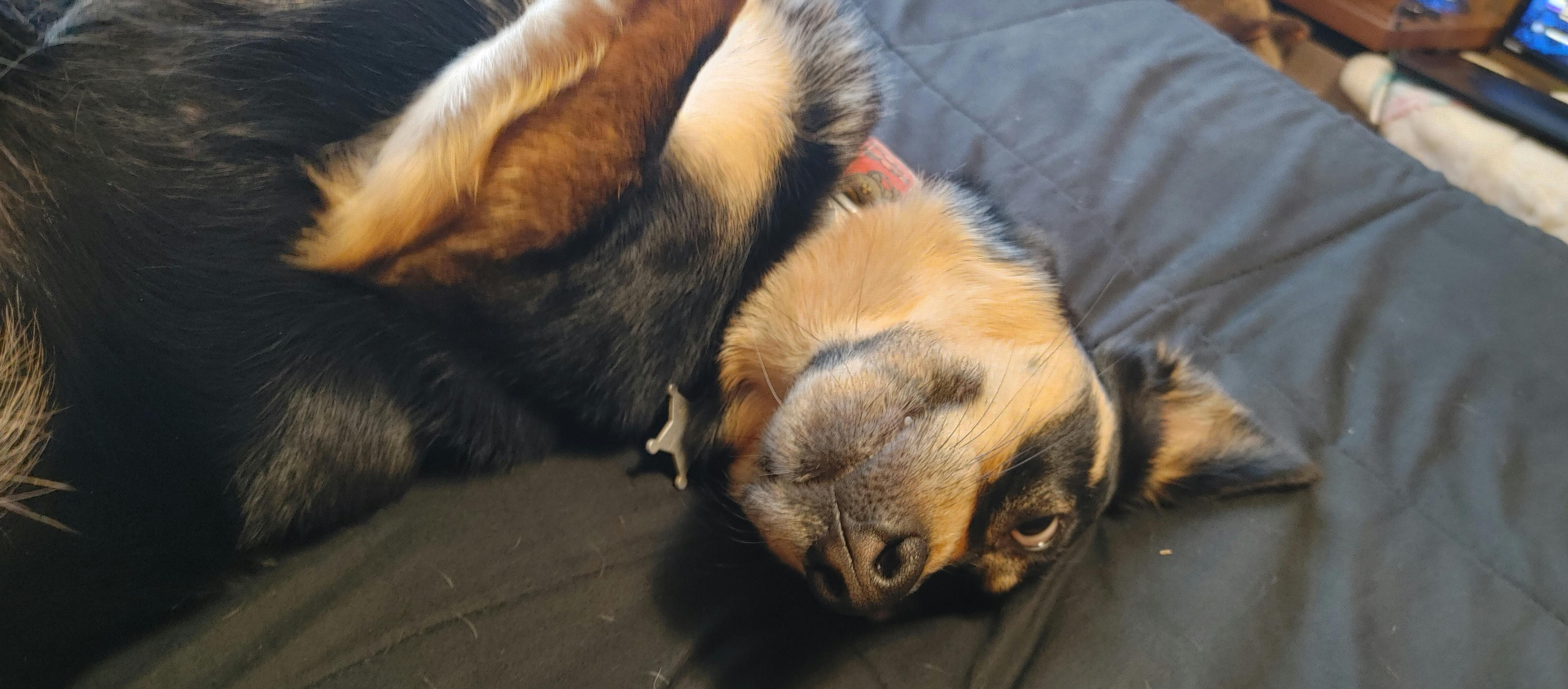 user avatar image for DanteSunbreaker