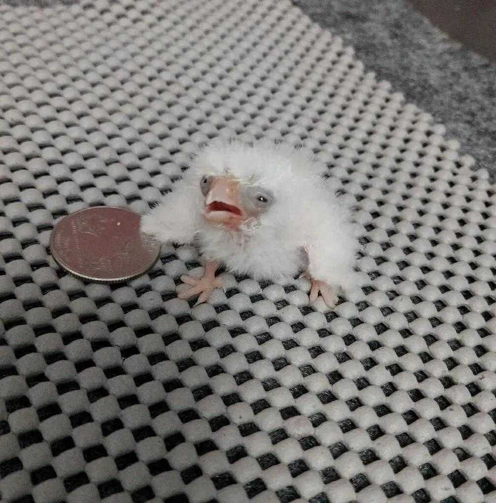 user avatar image for Julian