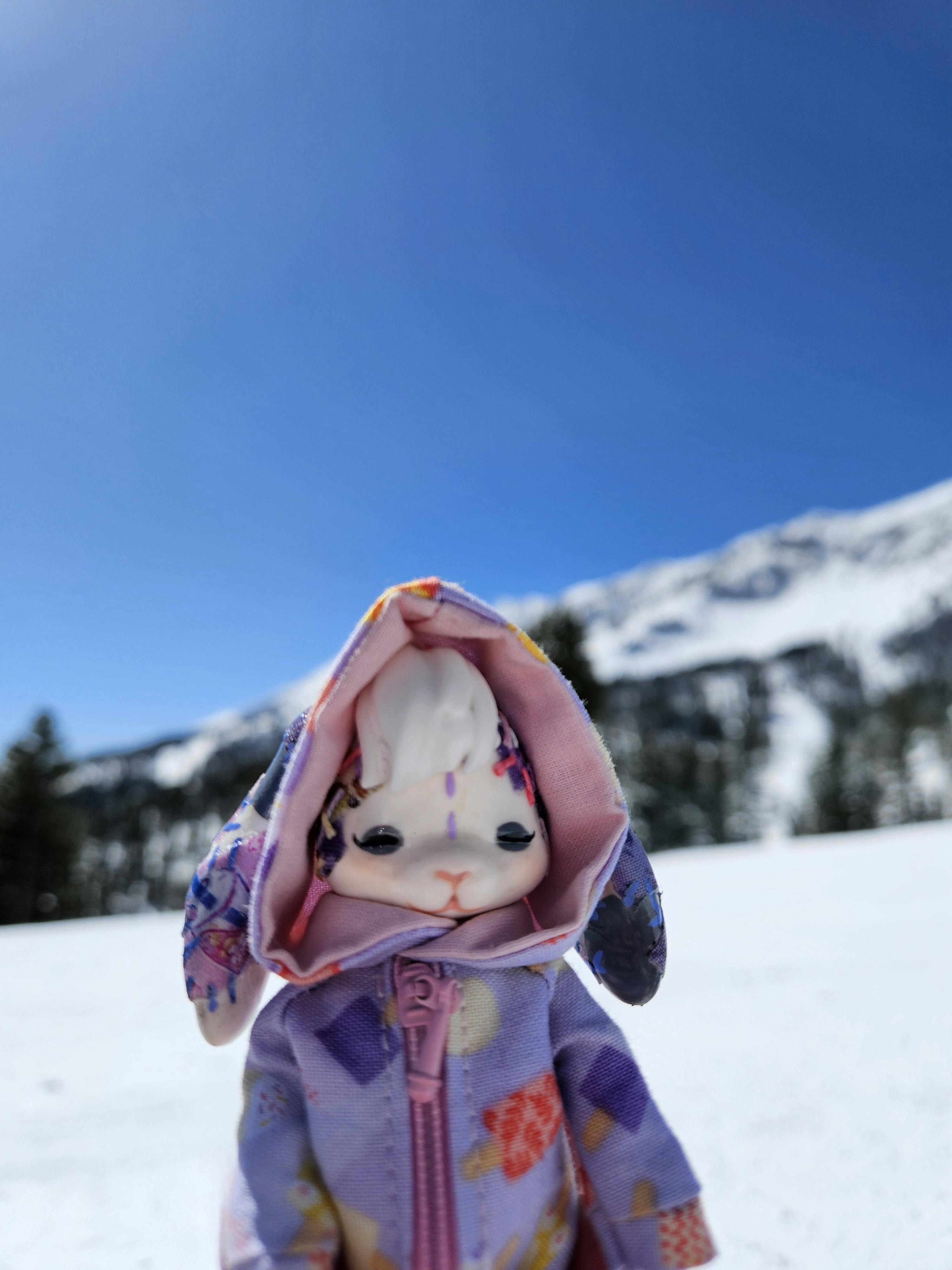 user avatar image for Kaitlin Murdy