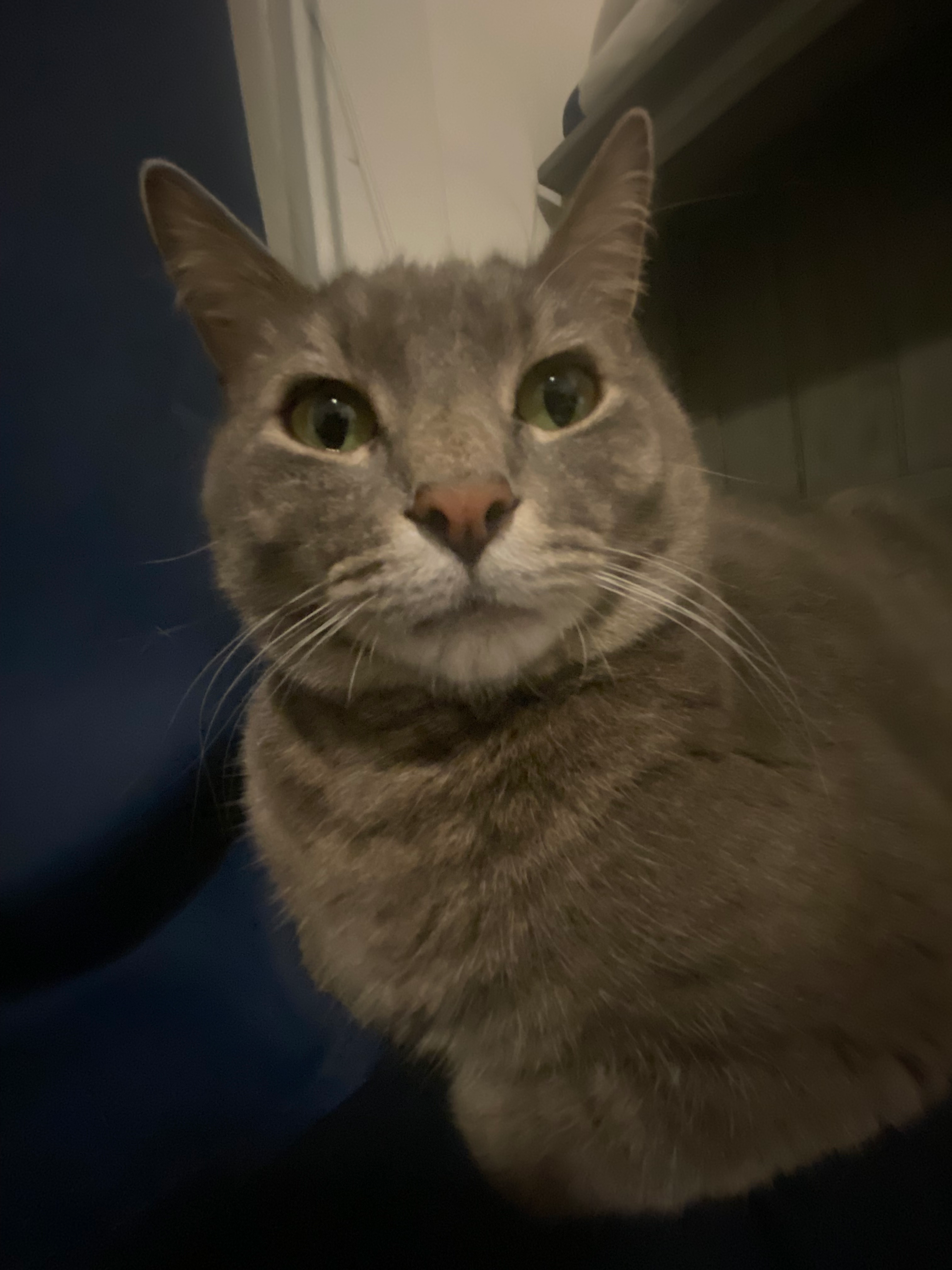 user avatar image for Emaleigh P