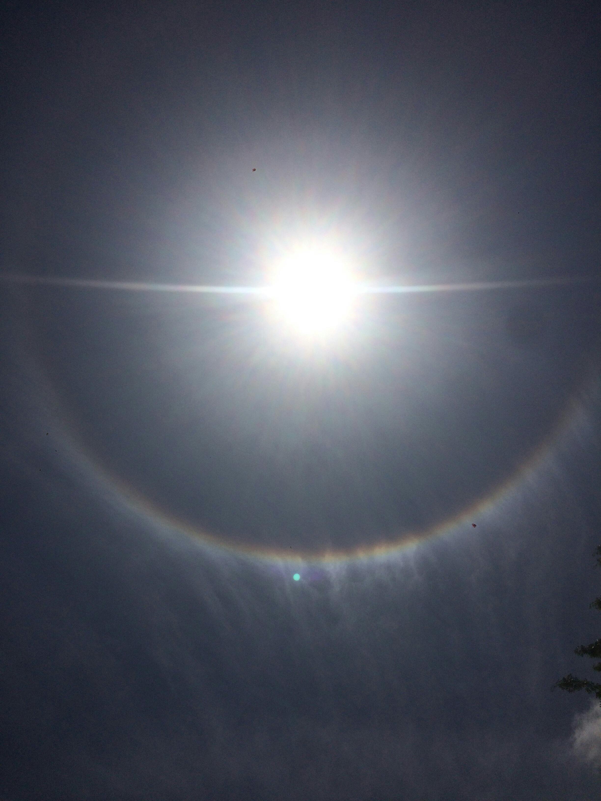 user avatar image for PotatoPlunderer