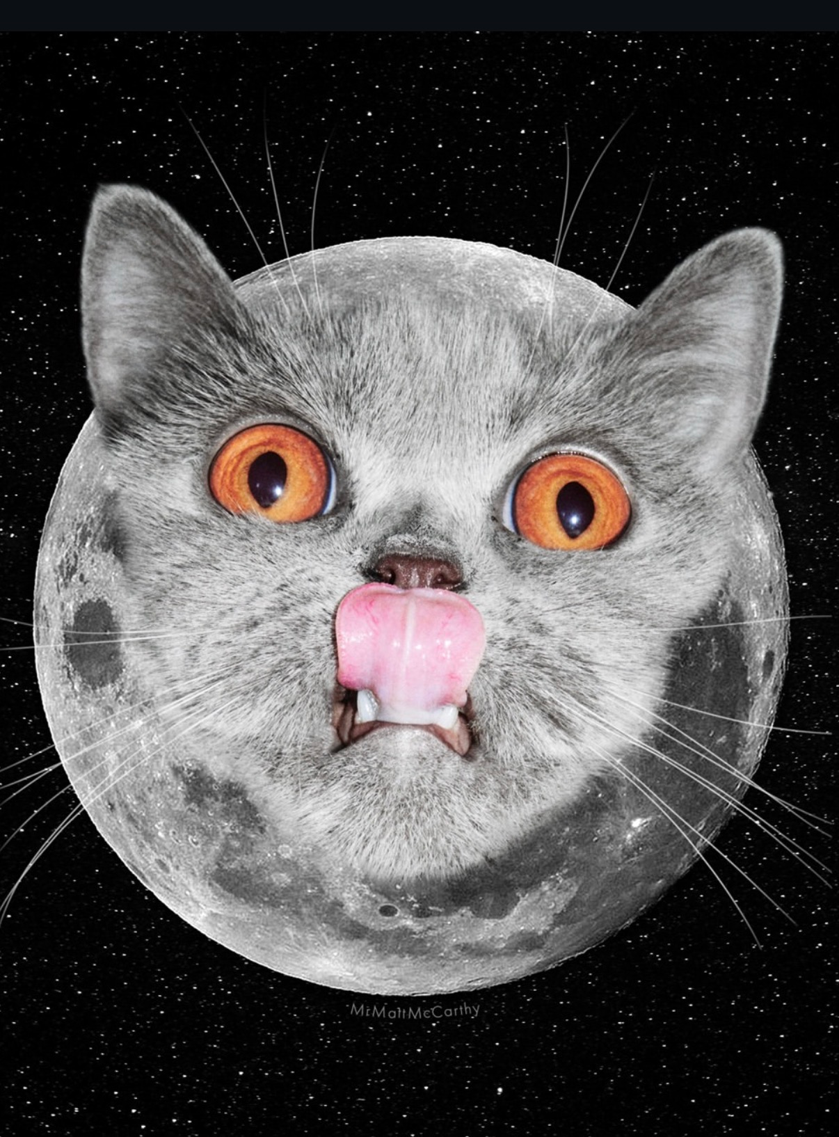 user avatar image for Raist 