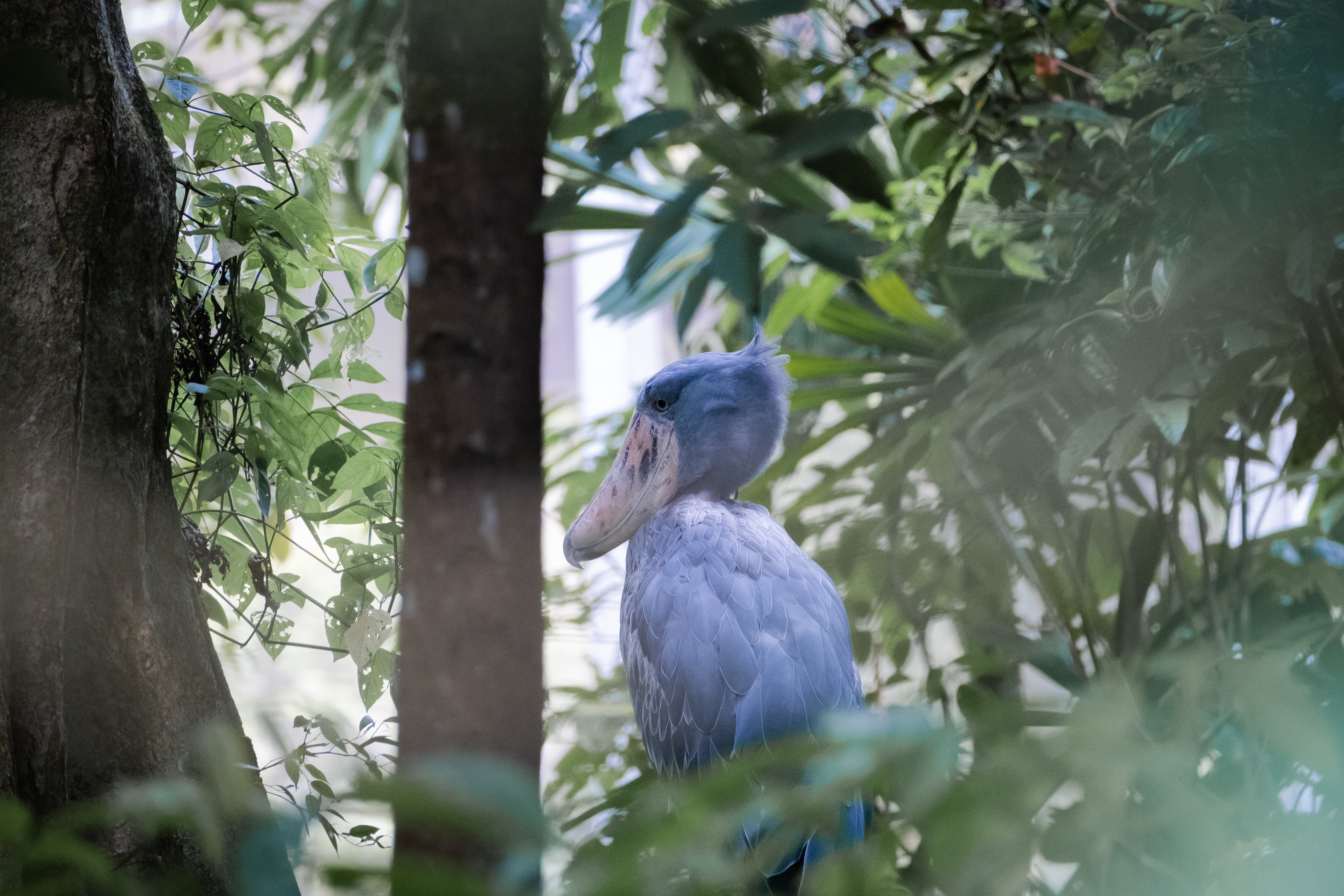 user avatar image for Moby