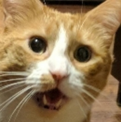 user avatar image for yeeitsJC