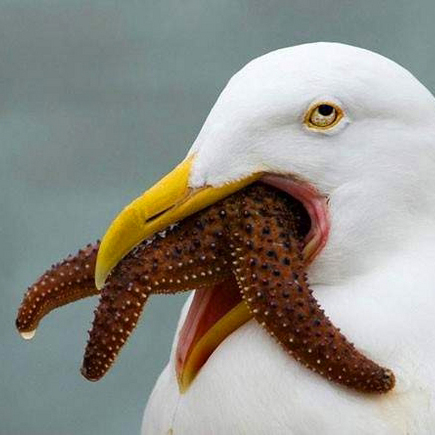 user avatar image for Zuloe