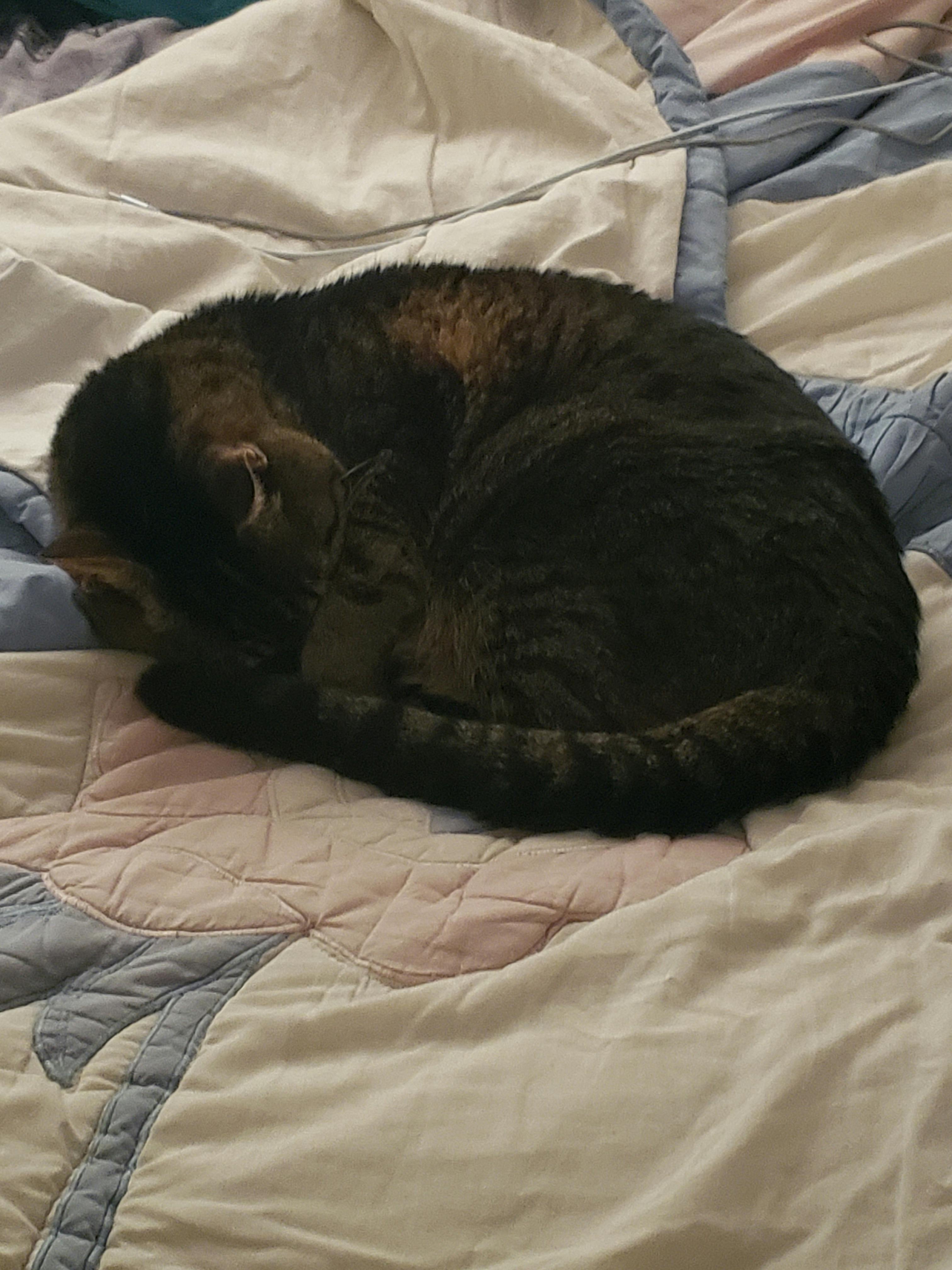 user avatar image for JynxNyx