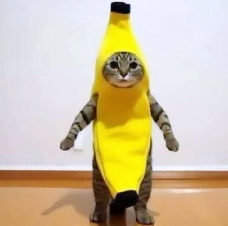 user avatar image for Toby 