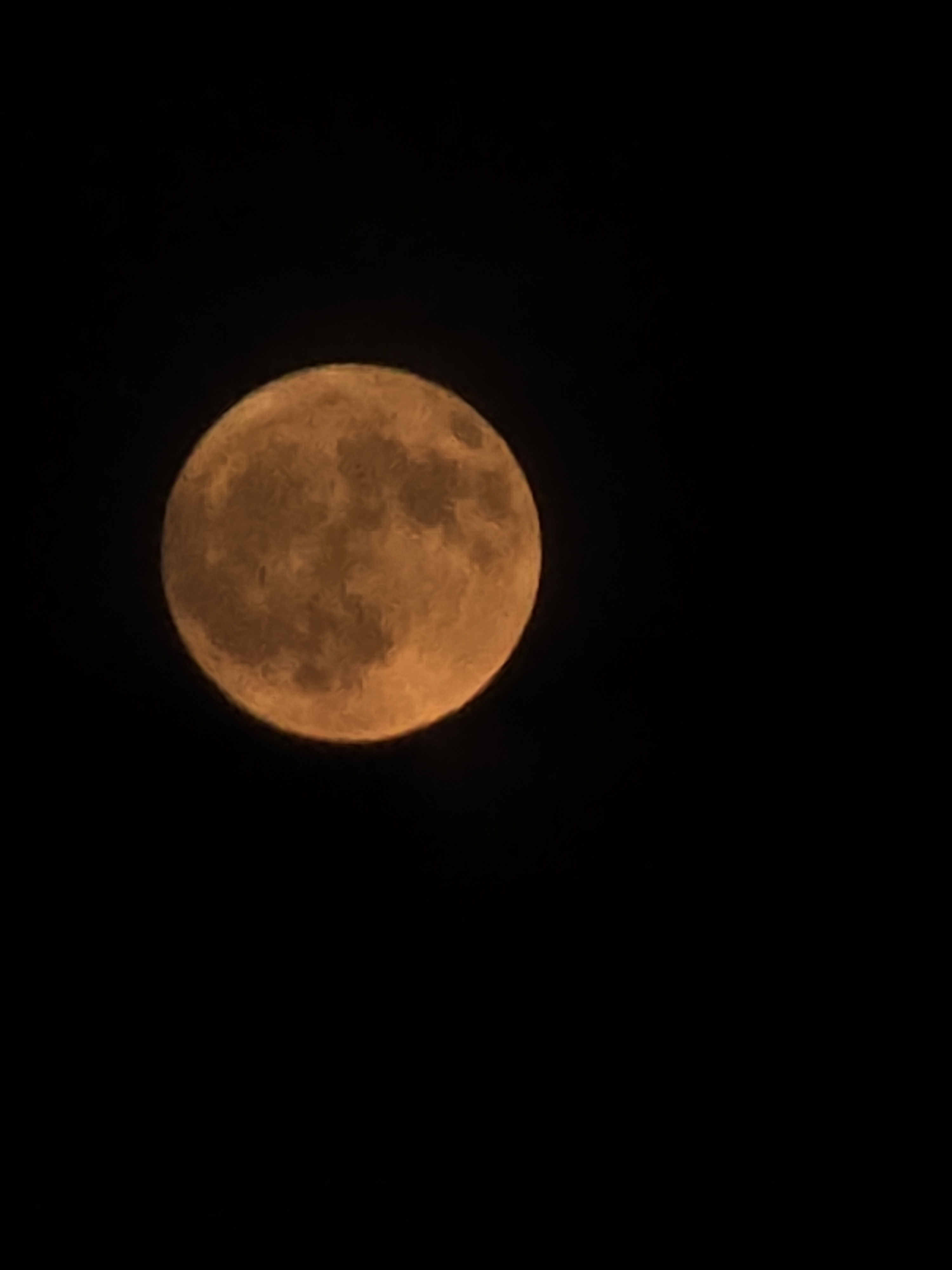 user avatar image for Maria