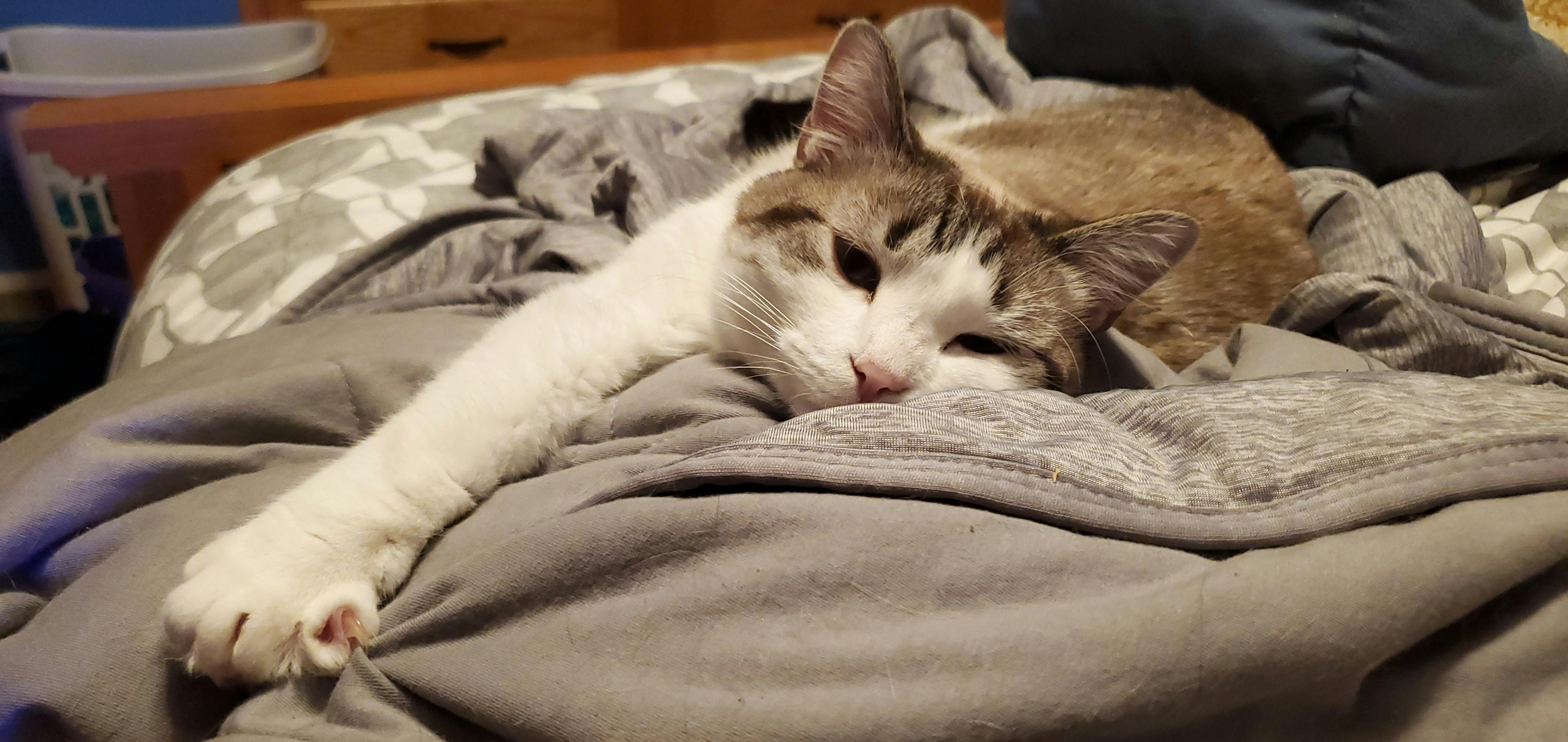 user avatar image for Kit Pridemore