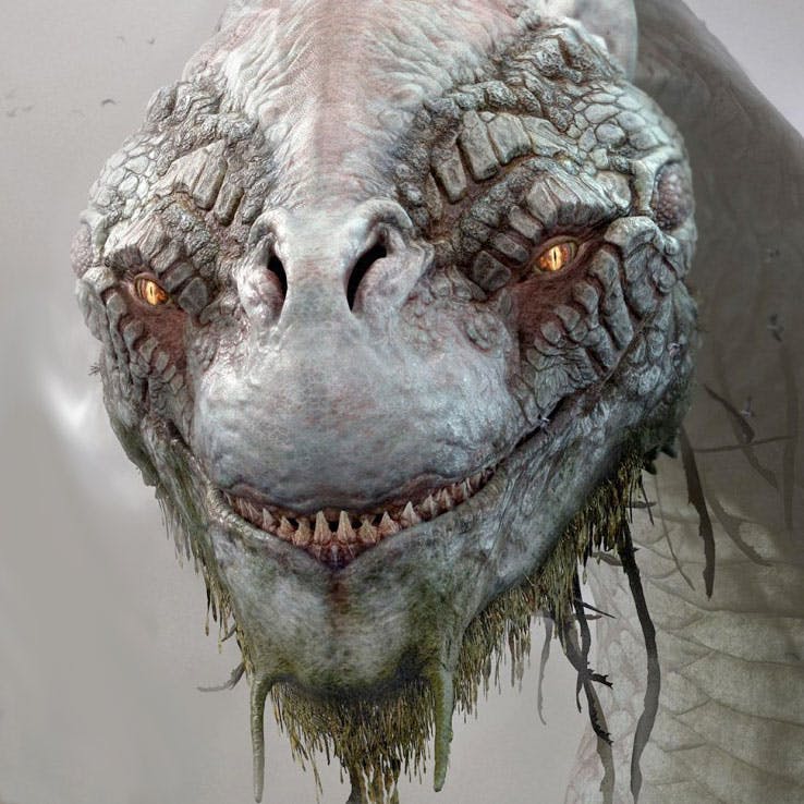 user avatar image for Mr Booman