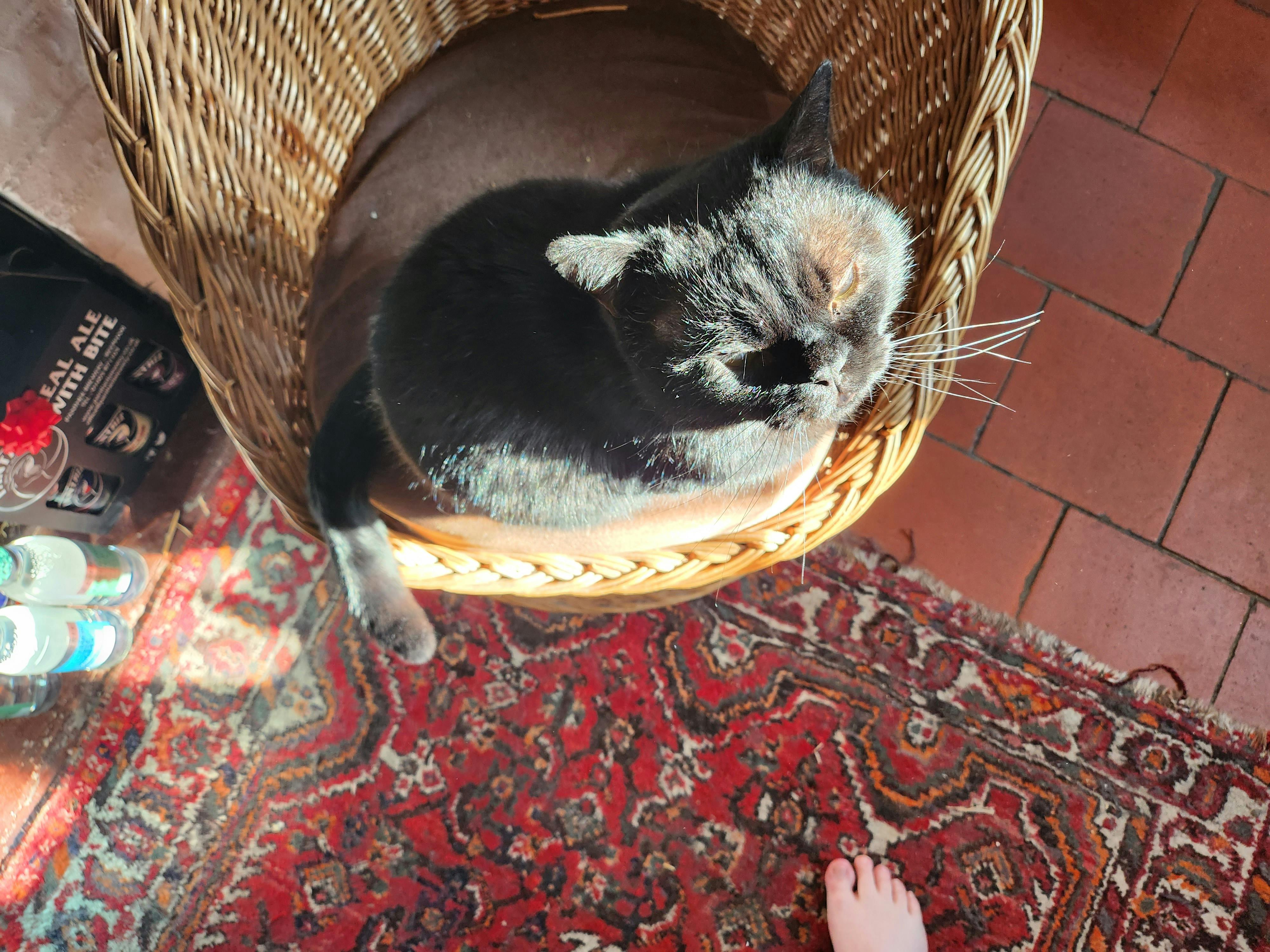 user avatar image for Mat