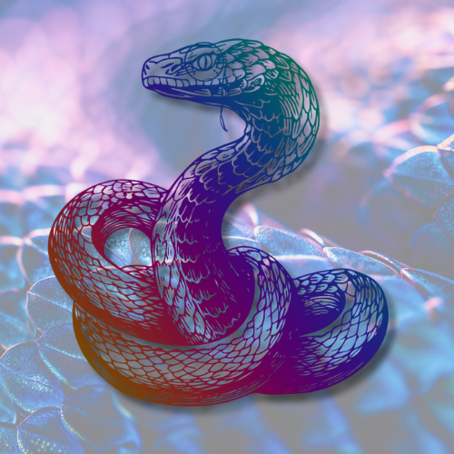 user avatar image for Snakeskin Press