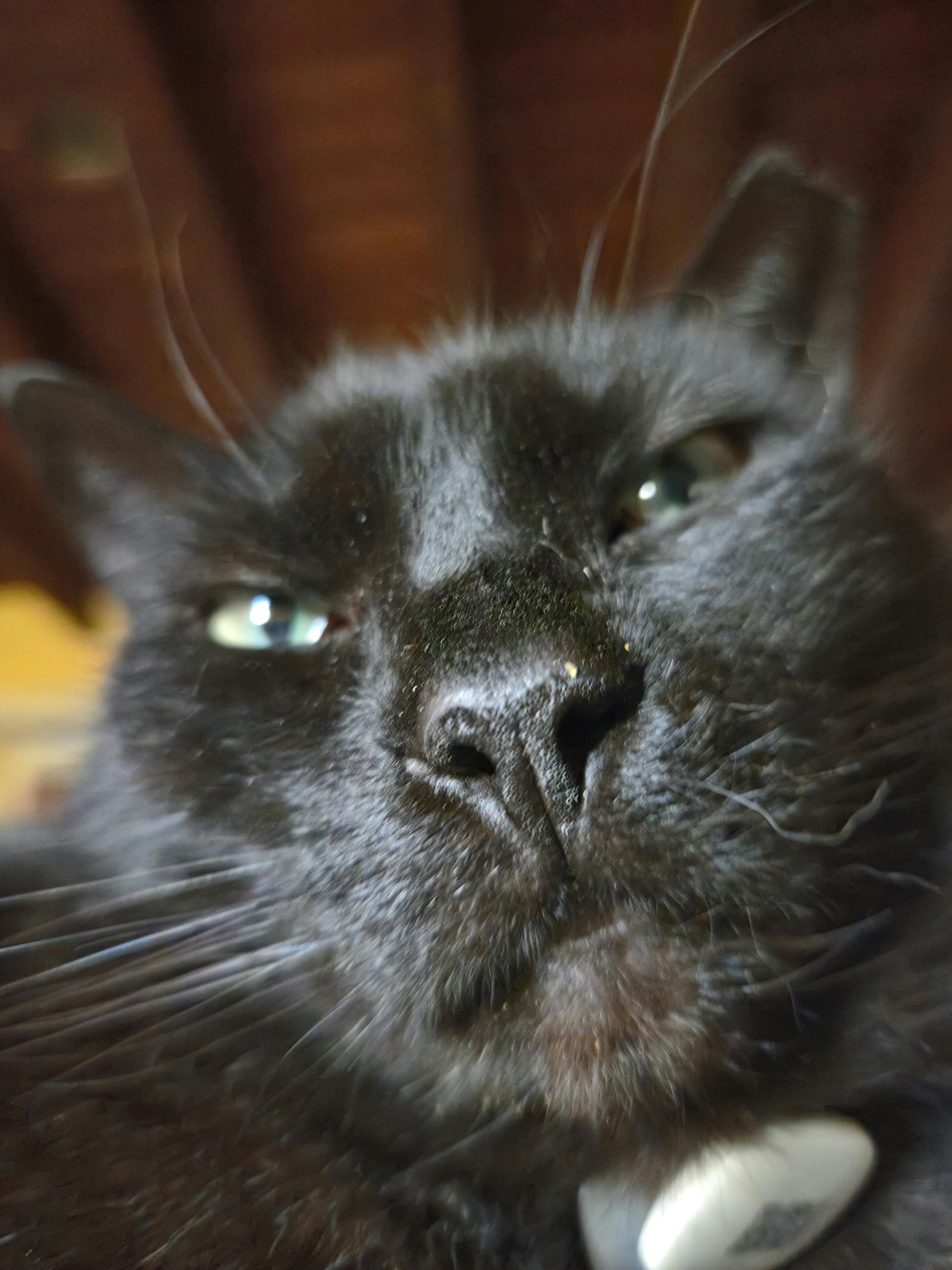 user avatar image for Tatiana