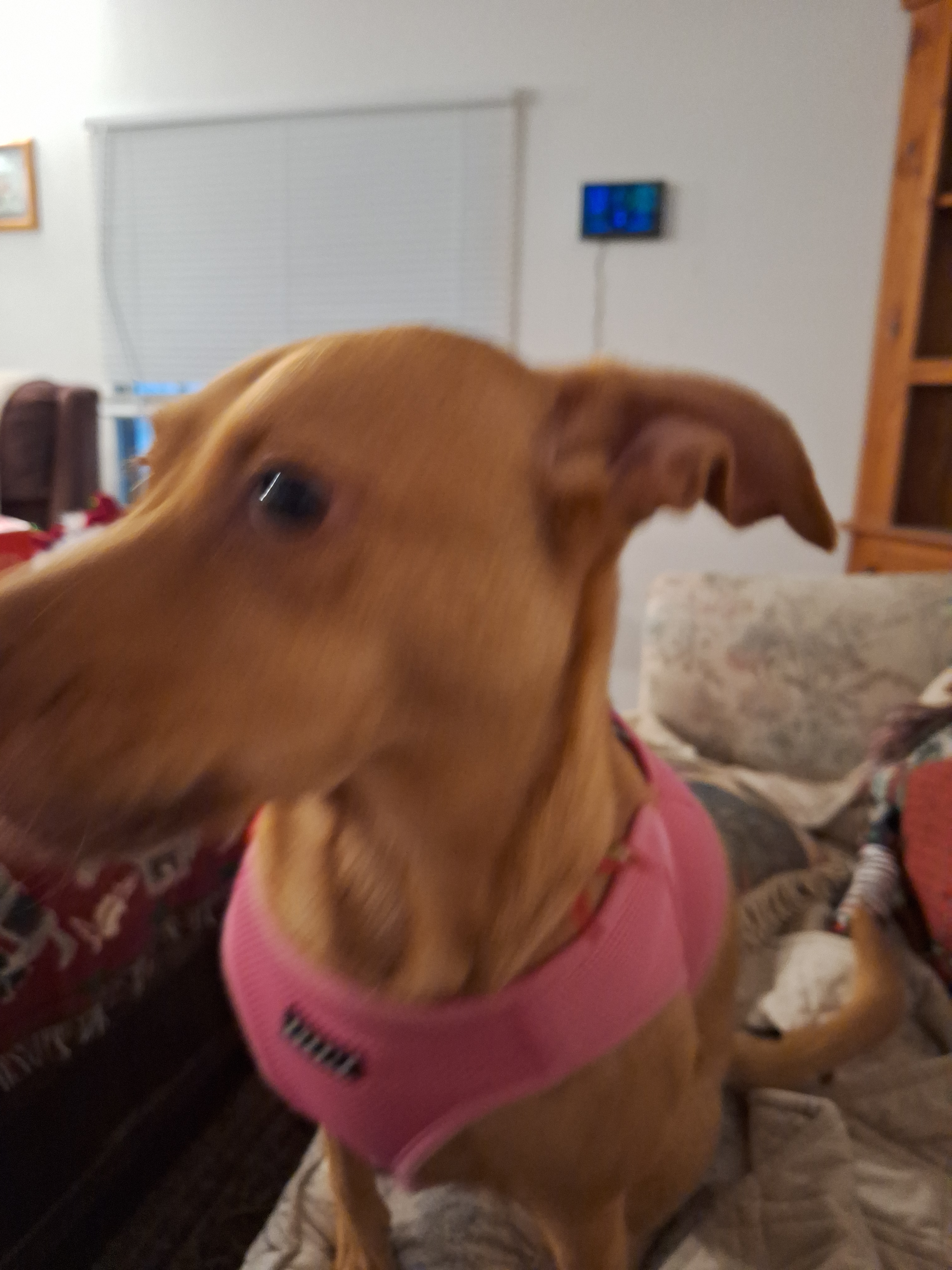 user avatar image for Ugris2022 