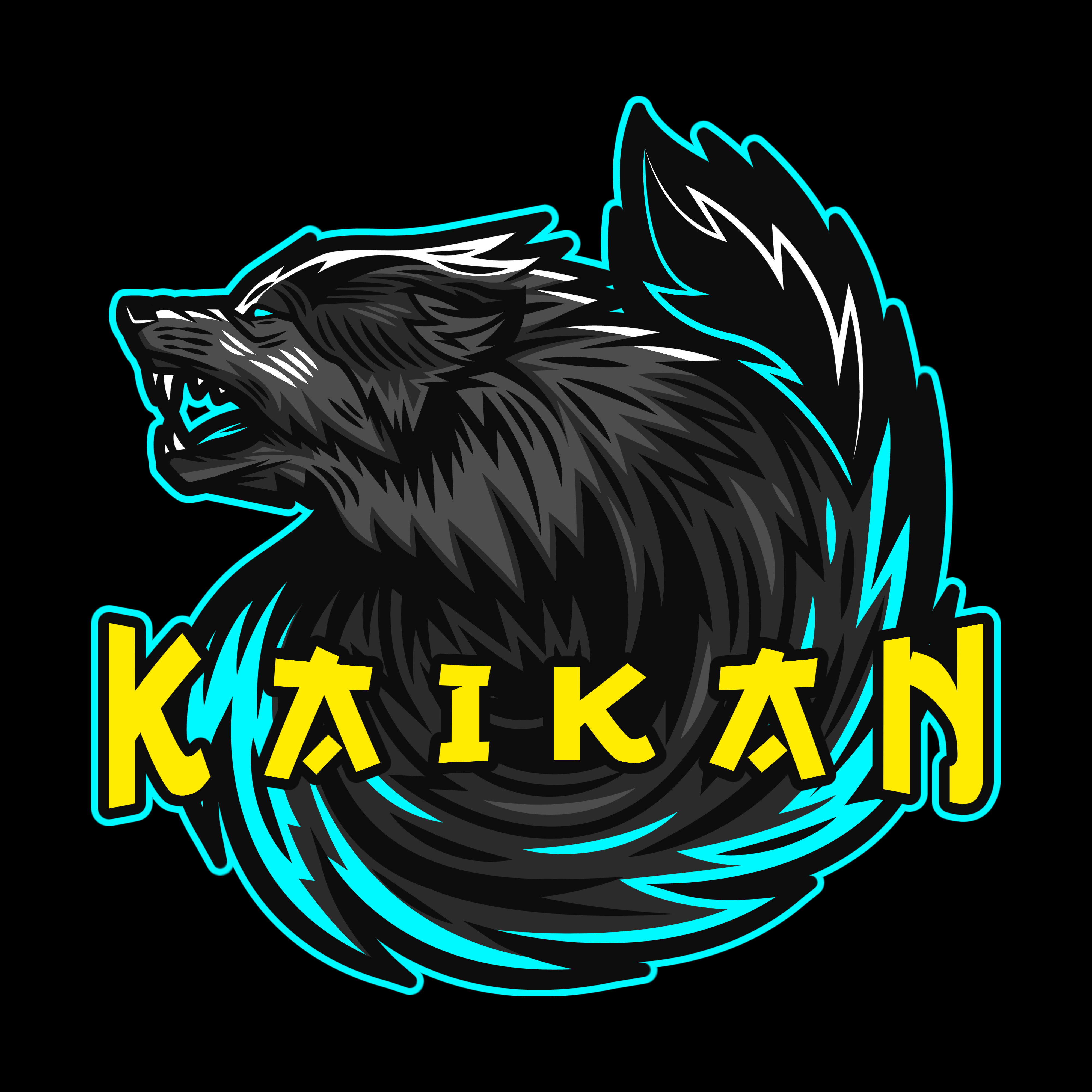 user avatar image for KaiKanderson