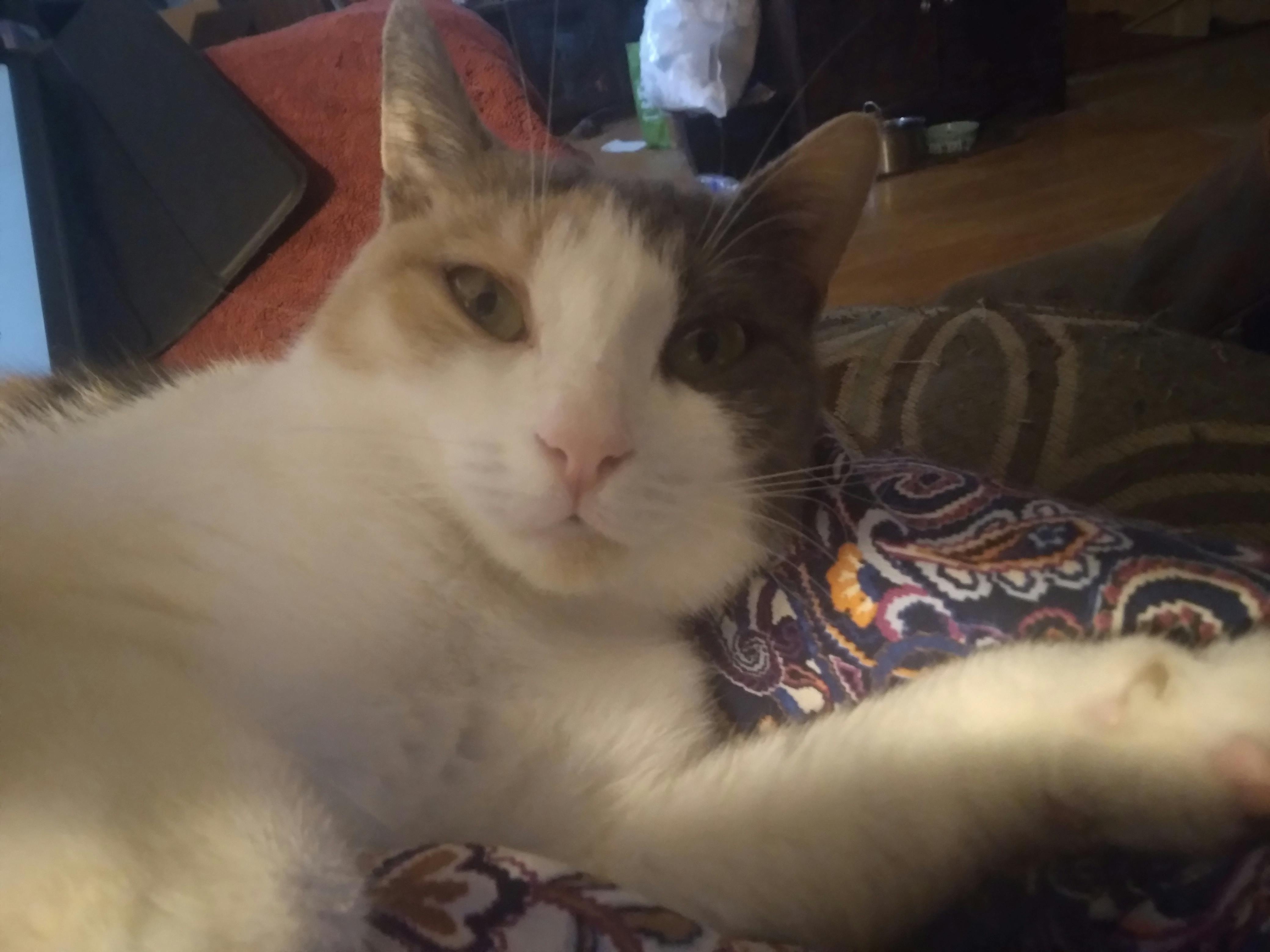 user avatar image for Barbara Klinko