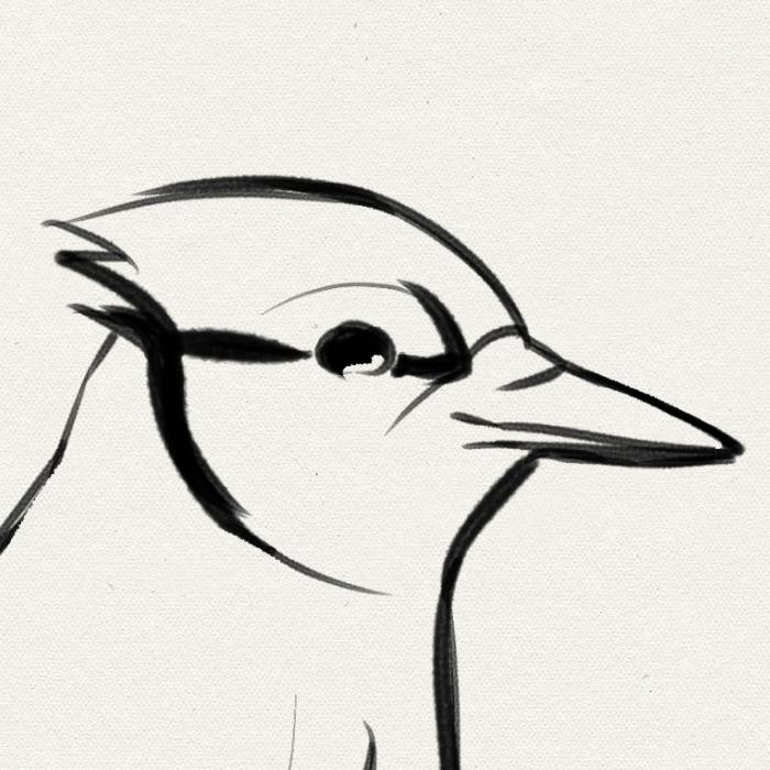 user avatar image for Nea
