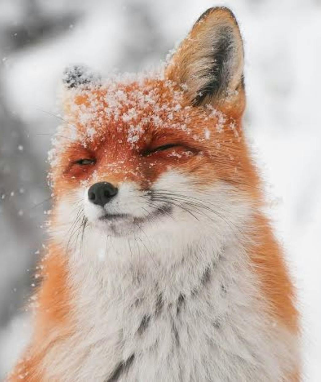 user avatar image for Luke