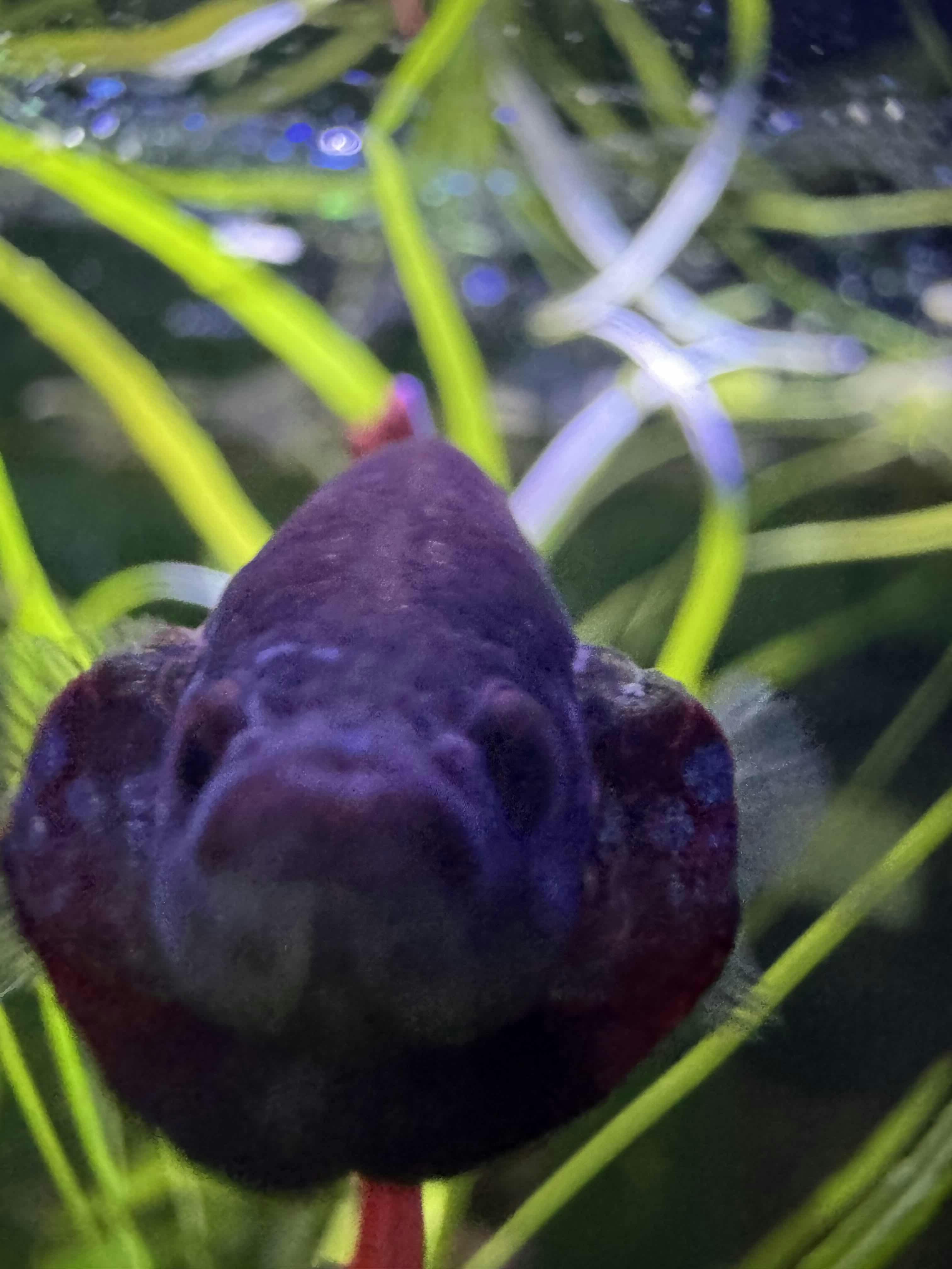 user avatar image for Tania