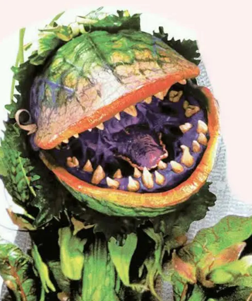 user avatar image for Seabass