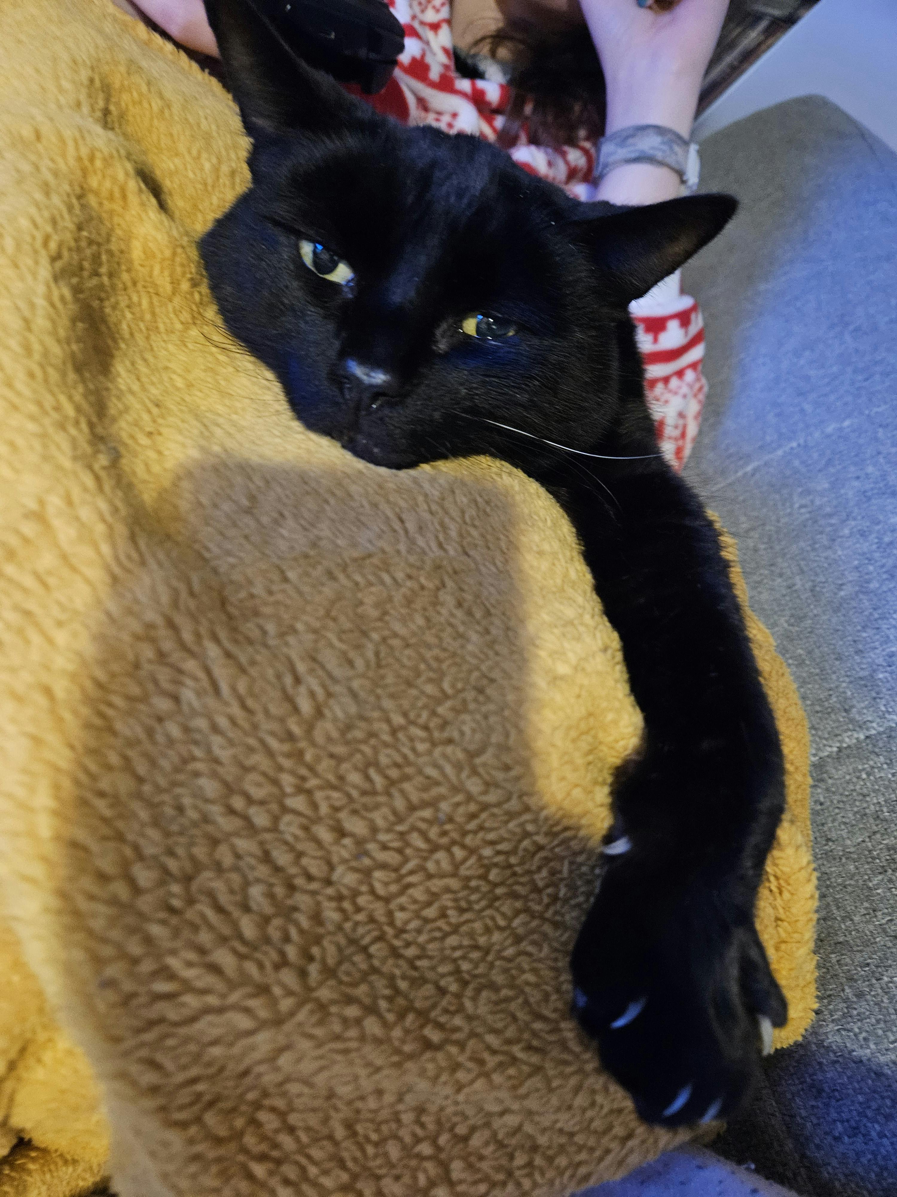 user avatar image for Jake Harrold