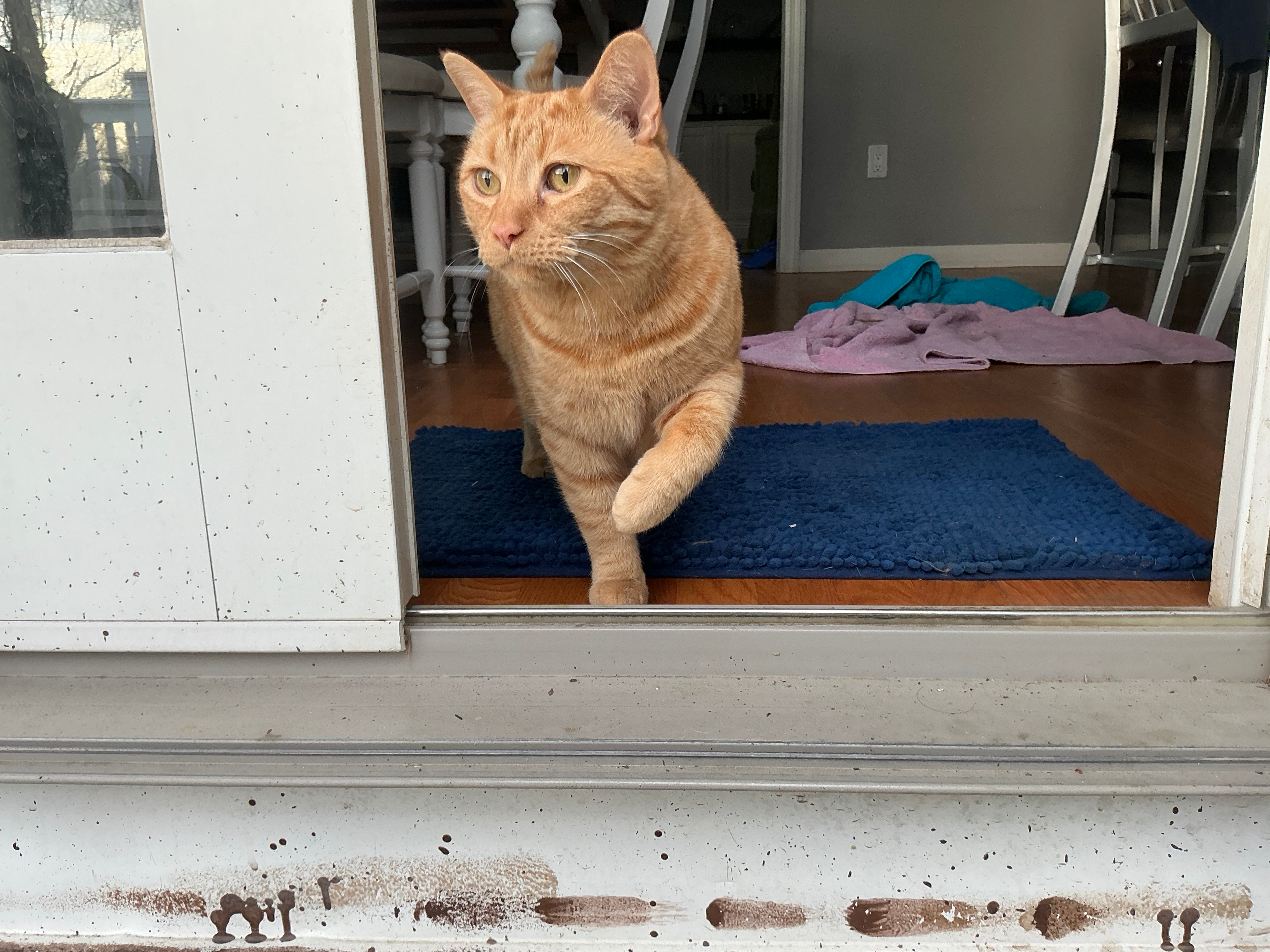 user avatar image for RRelx 