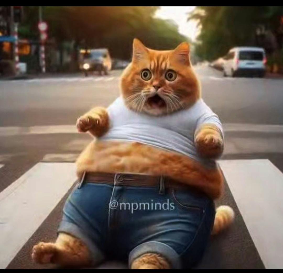 user avatar image for Nathaniel 