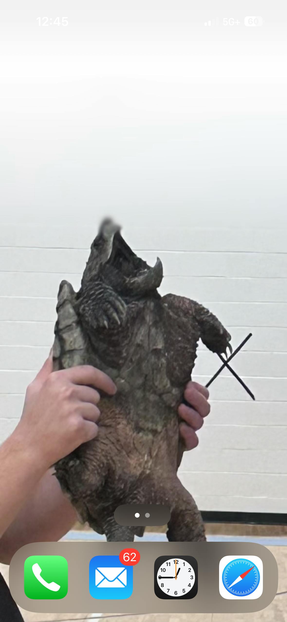 user avatar image for Erin Froehlich